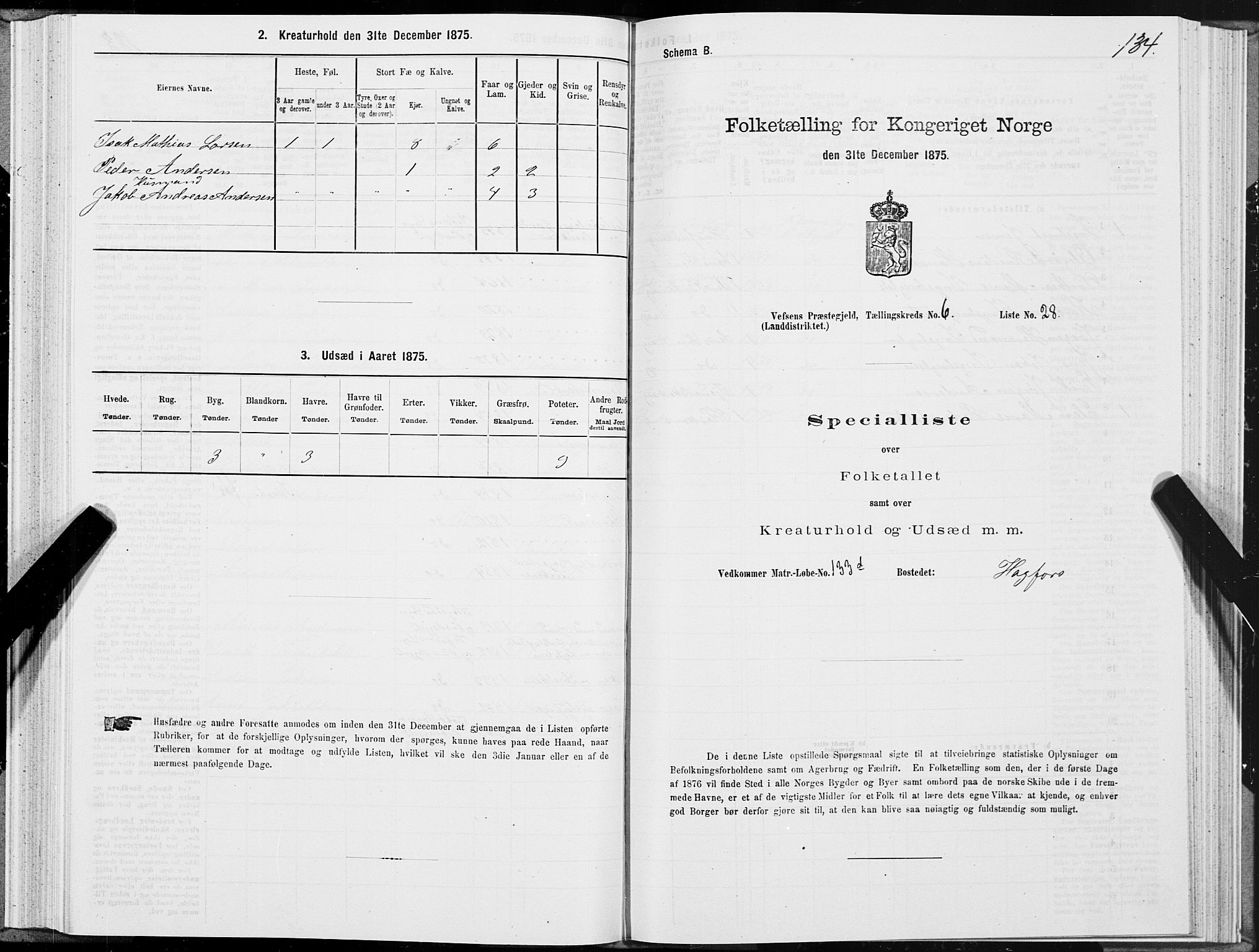 SAT, 1875 census for 1824L Vefsn/Vefsn, 1875, p. 2134