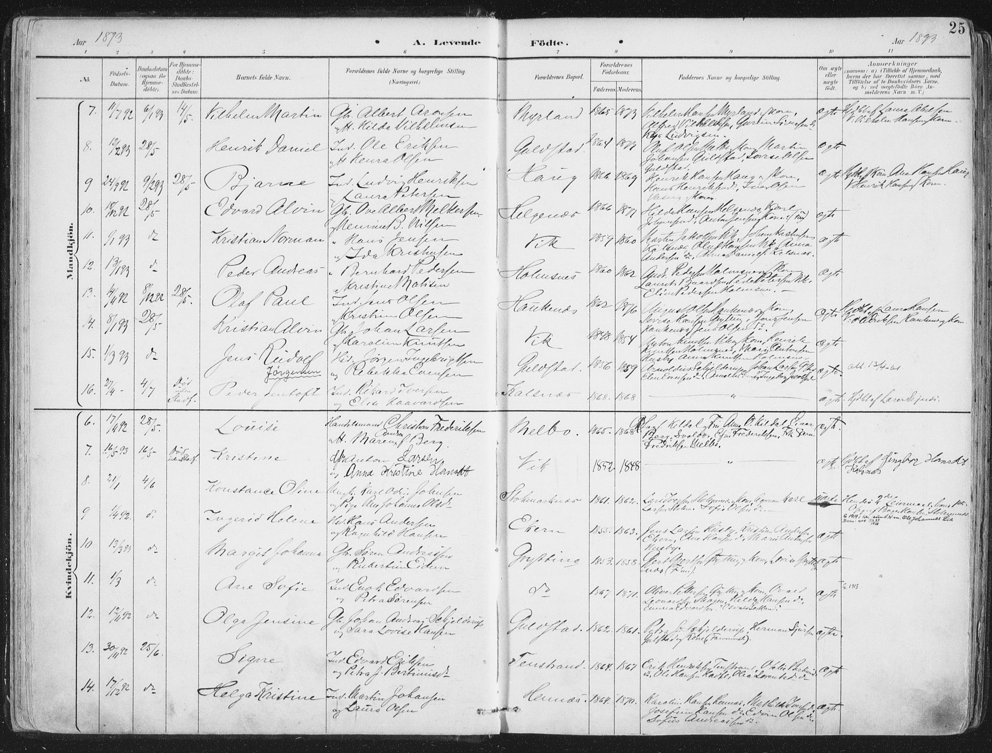 Ministerialprotokoller, klokkerbøker og fødselsregistre - Nordland, SAT/A-1459/888/L1246: Parish register (official) no. 888A12, 1891-1903, p. 25