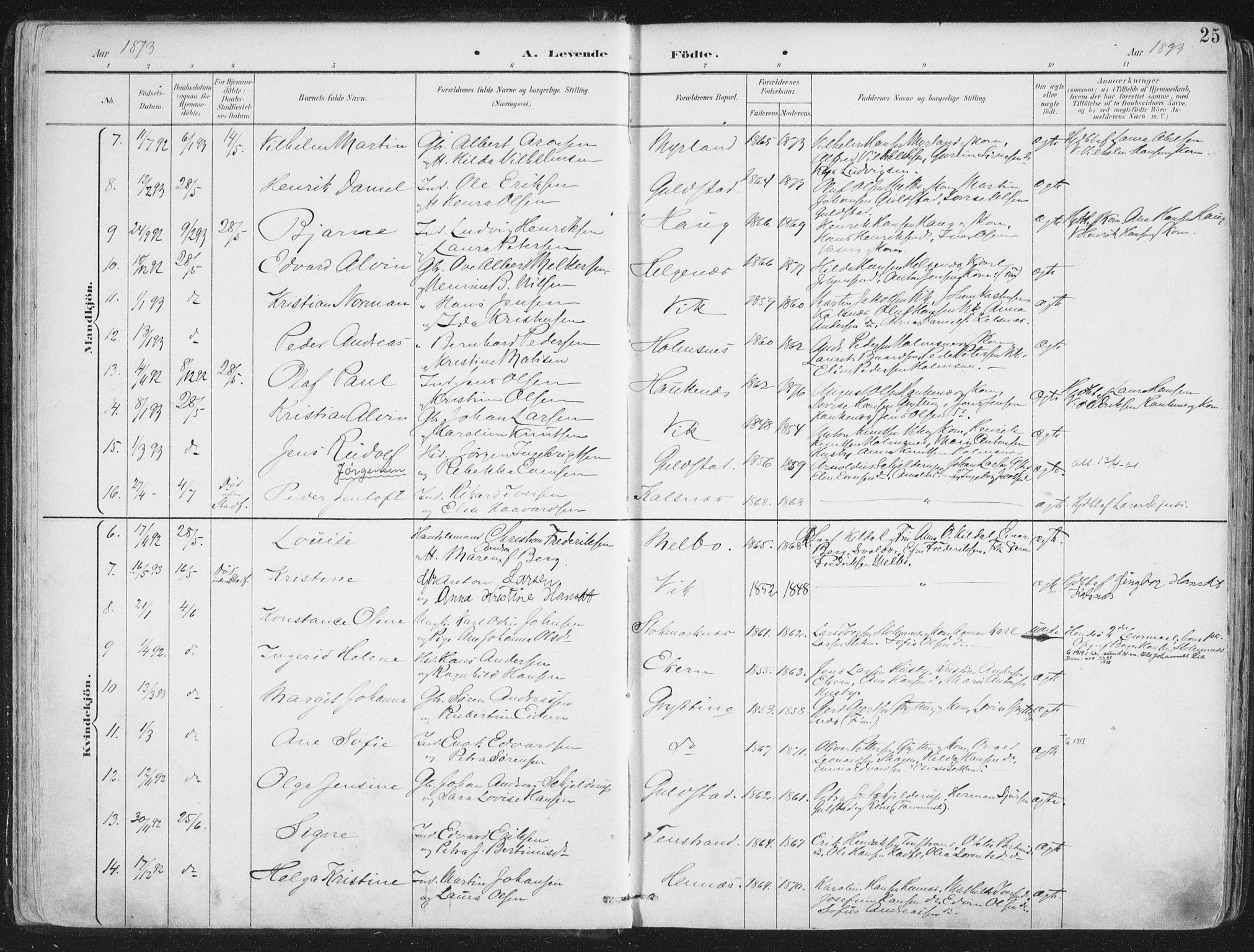 Ministerialprotokoller, klokkerbøker og fødselsregistre - Nordland, AV/SAT-A-1459/888/L1246: Parish register (official) no. 888A12, 1891-1903, p. 25