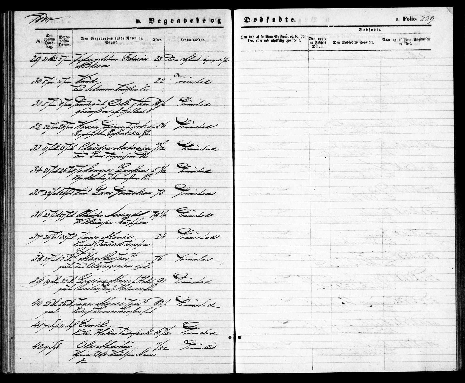 Grimstad sokneprestkontor, SAK/1111-0017/F/Fa/L0002: Parish register (official) no. A 1, 1869-1881, p. 229