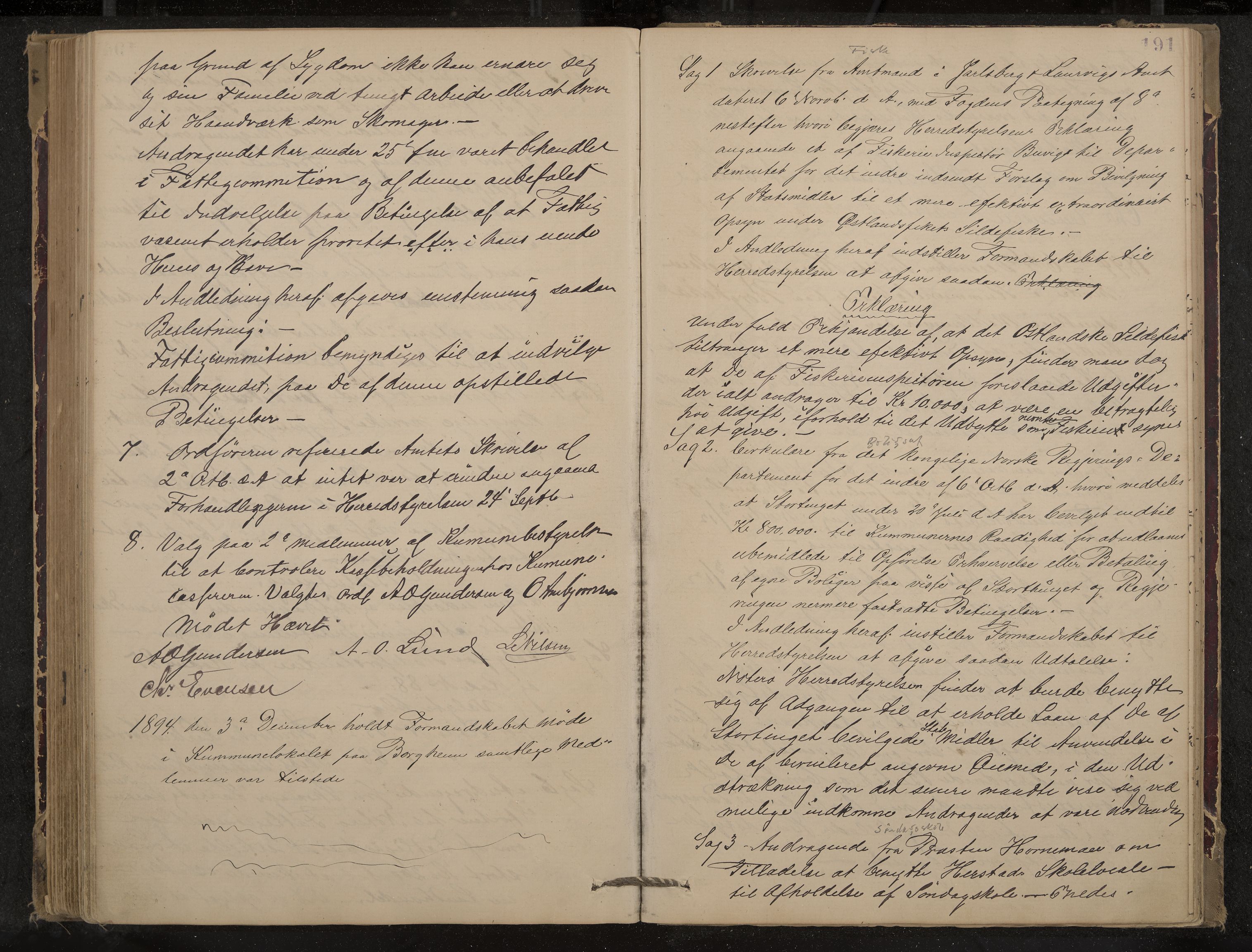 Nøtterøy formannskap og sentraladministrasjon, IKAK/0722021-1/A/Aa/L0004: Møtebok, 1887-1896, p. 191