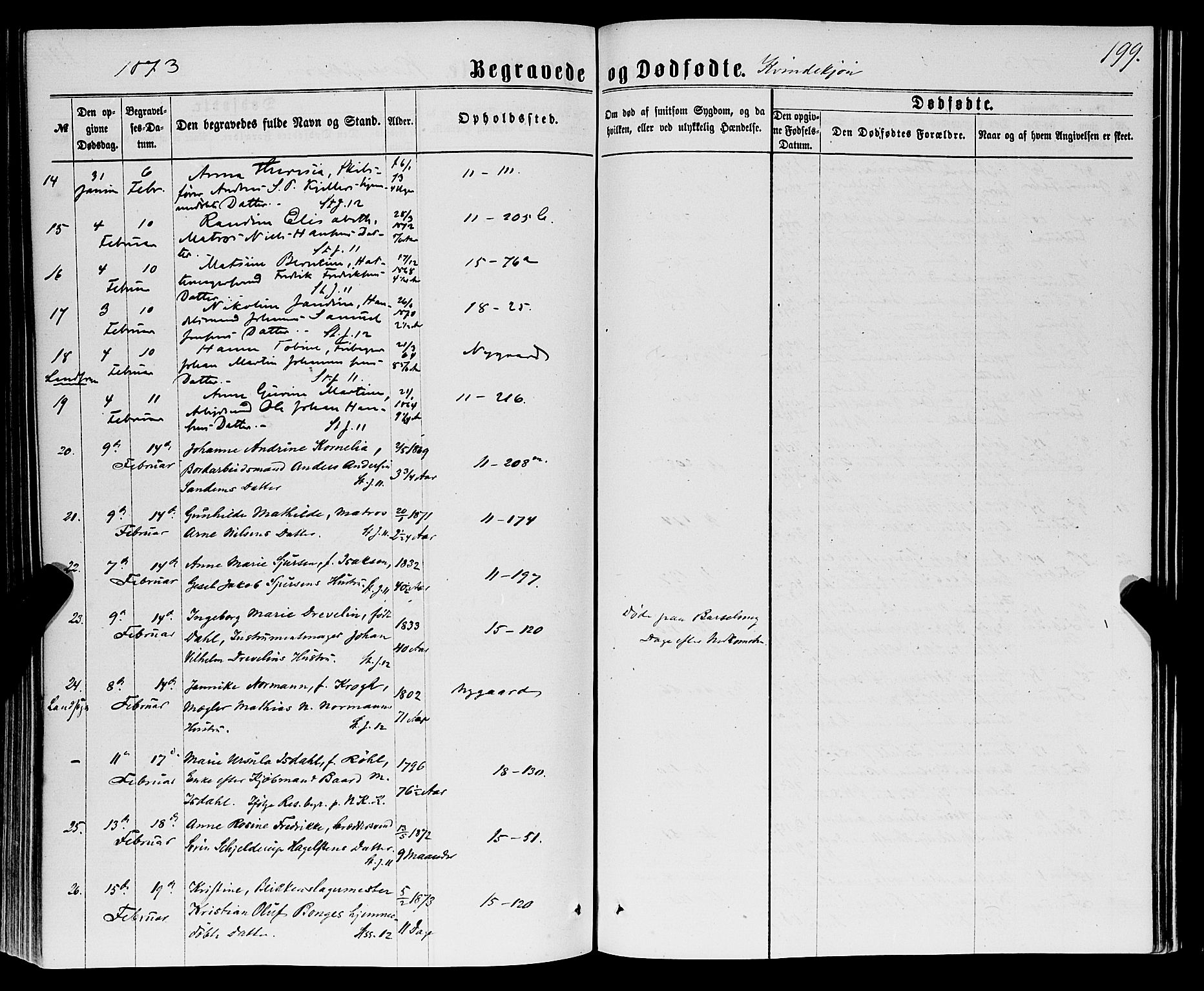 Domkirken sokneprestembete, AV/SAB-A-74801/H/Haa/L0042: Parish register (official) no. E 3, 1863-1876, p. 199