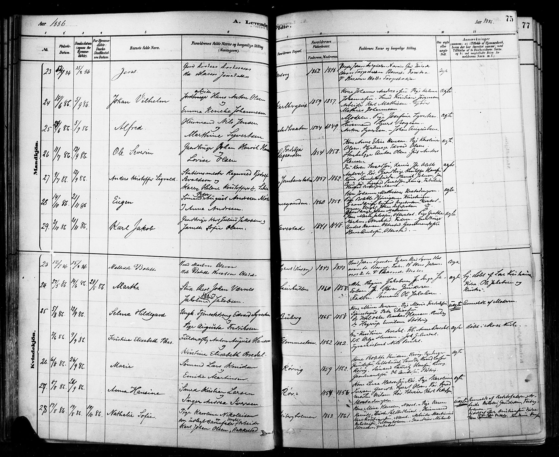 Rygge prestekontor Kirkebøker, SAO/A-10084b/F/Fa/L0007: Parish register (official) no. 7, 1878-1904, p. 75