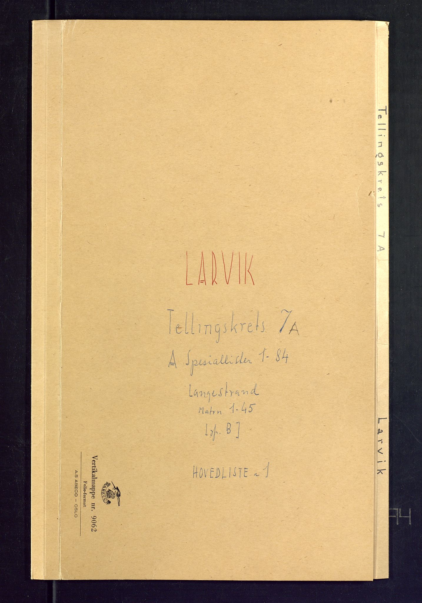 SAKO, 1875 census for 0707P Larvik, 1875, p. 20