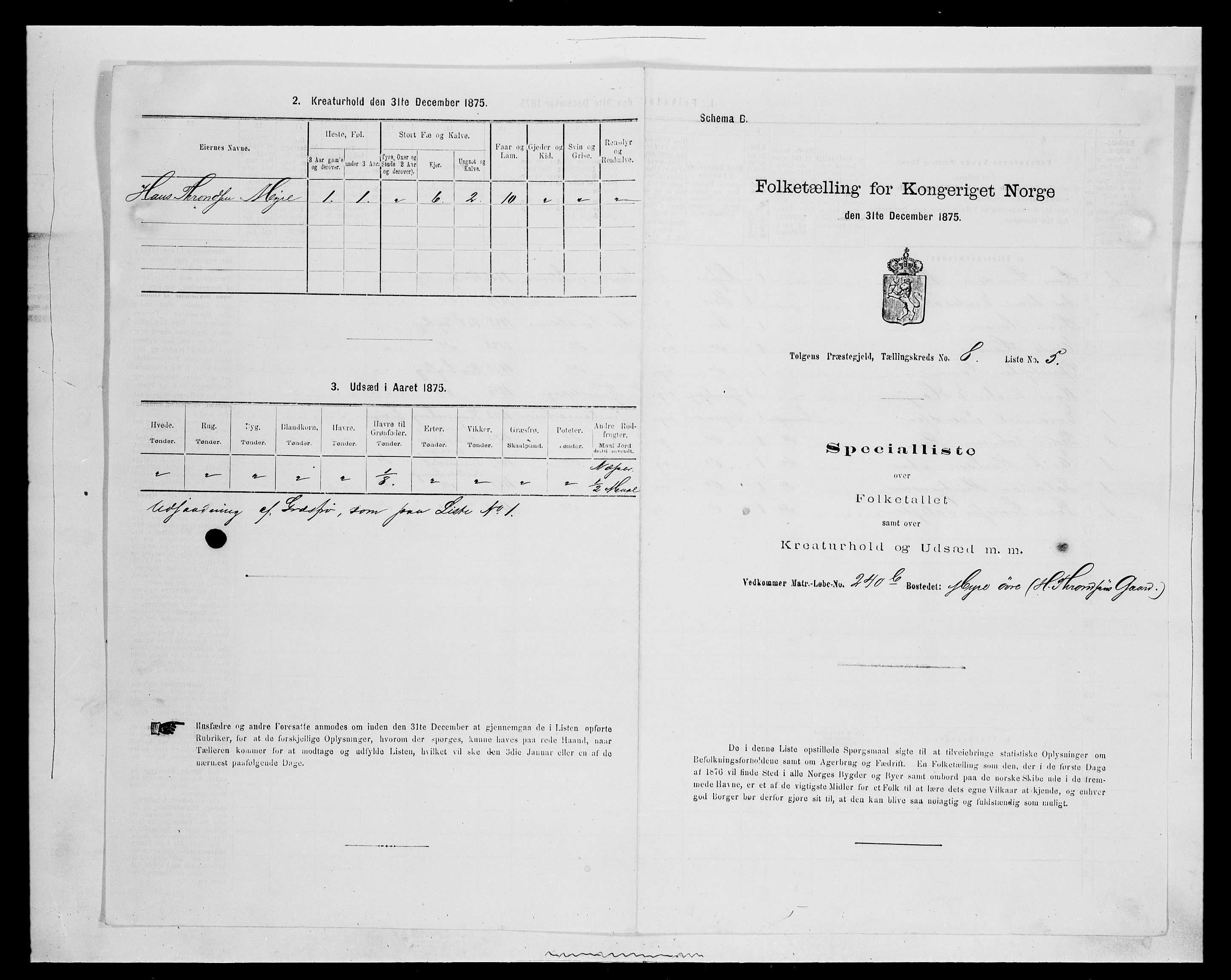 SAH, 1875 census for 0436P Tolga, 1875, p. 796