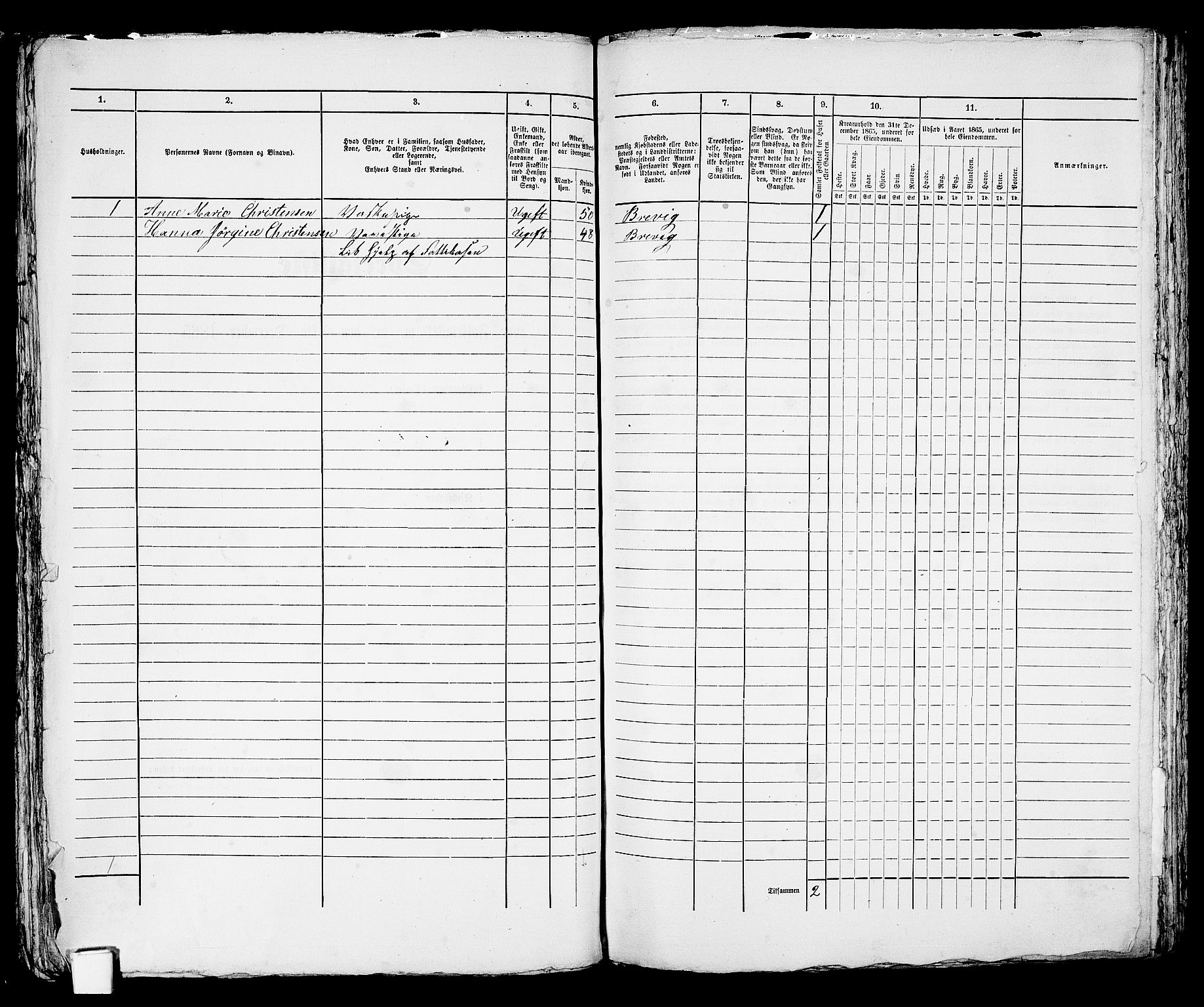 RA, 1865 census for Brevik, 1865, p. 211