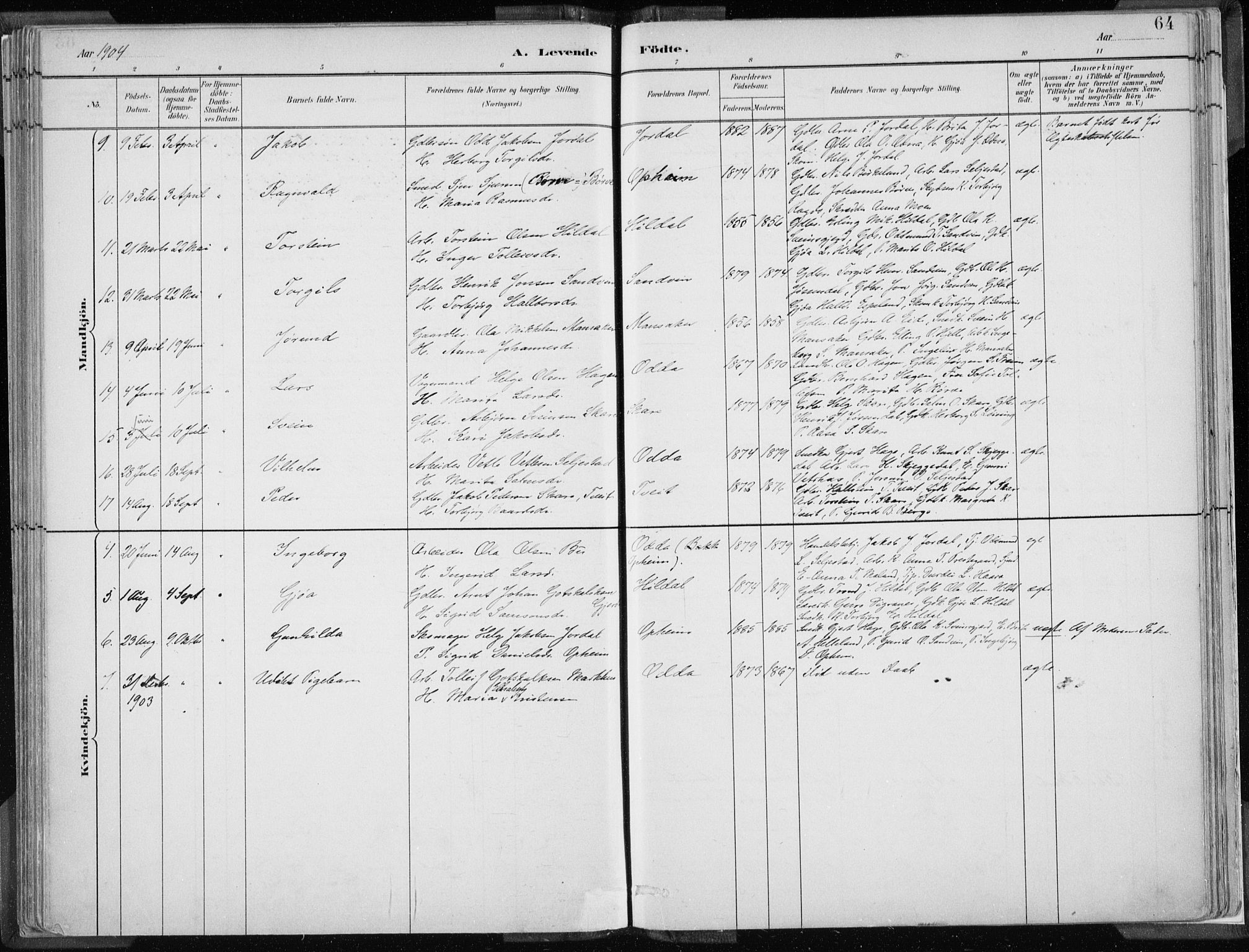 Odda Sokneprestembete, SAB/A-77201/H/Haa: Parish register (official) no. A  3, 1882-1913, p. 64