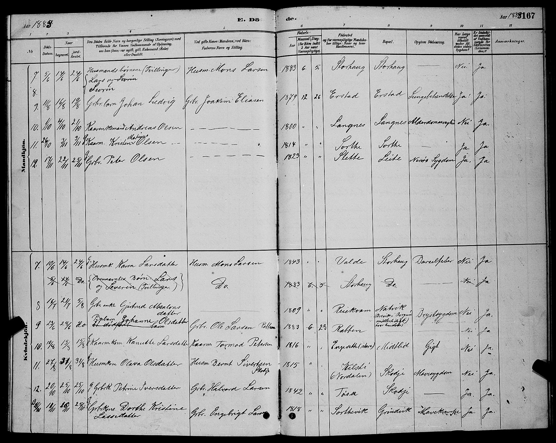 Ministerialprotokoller, klokkerbøker og fødselsregistre - Møre og Romsdal, AV/SAT-A-1454/524/L0365: Parish register (copy) no. 524C06, 1880-1899, p. 167