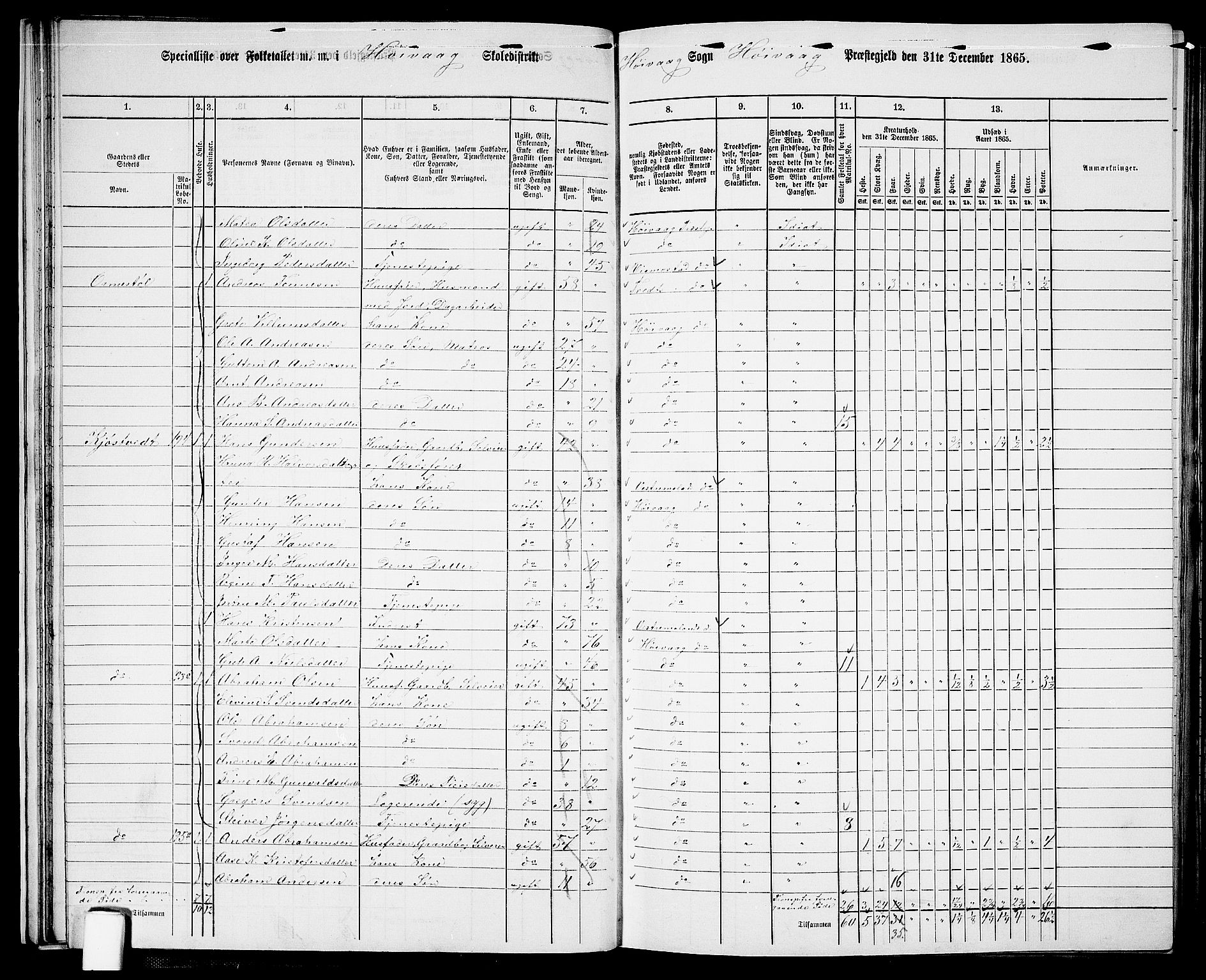 RA, 1865 census for Høvåg, 1865, p. 37