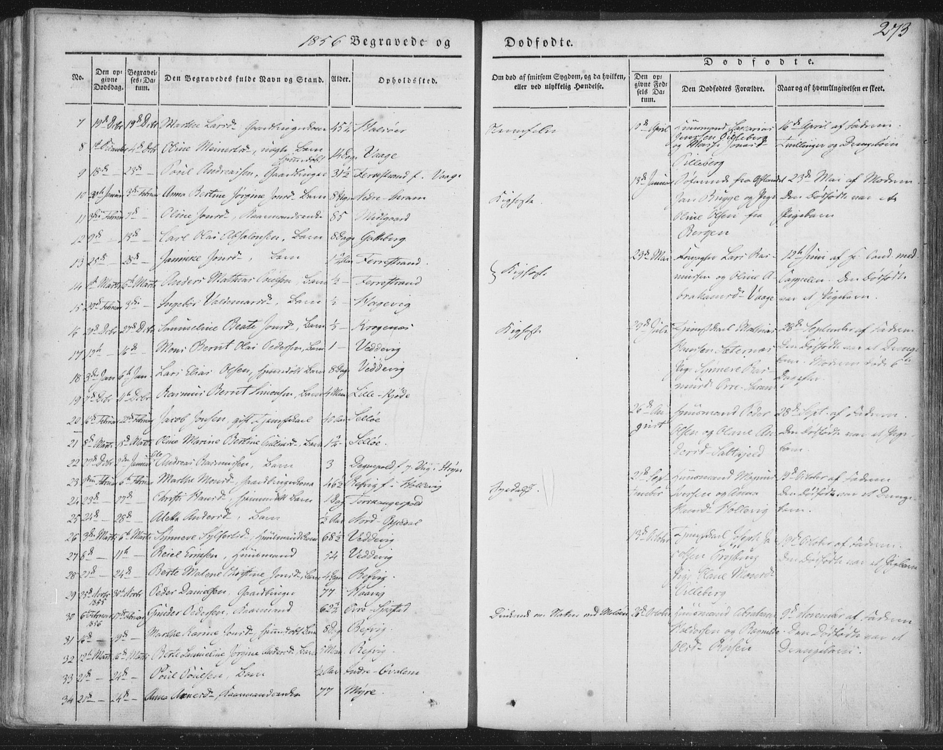 Selje sokneprestembete, AV/SAB-A-99938/H/Ha/Haa/Haaa: Parish register (official) no. A 10, 1844-1858, p. 273