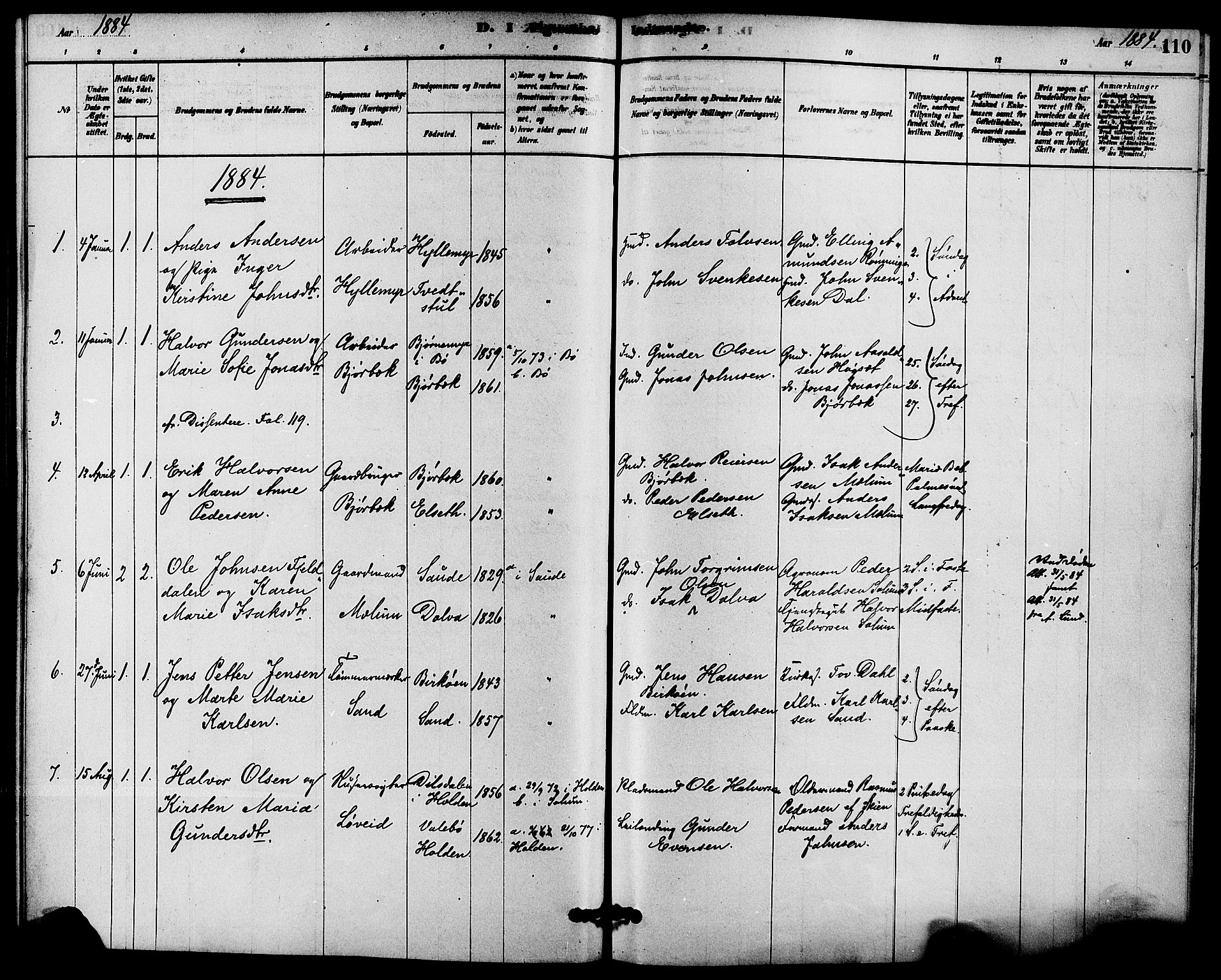 Solum kirkebøker, SAKO/A-306/F/Fb/L0001: Parish register (official) no. II 1, 1877-1892, p. 110