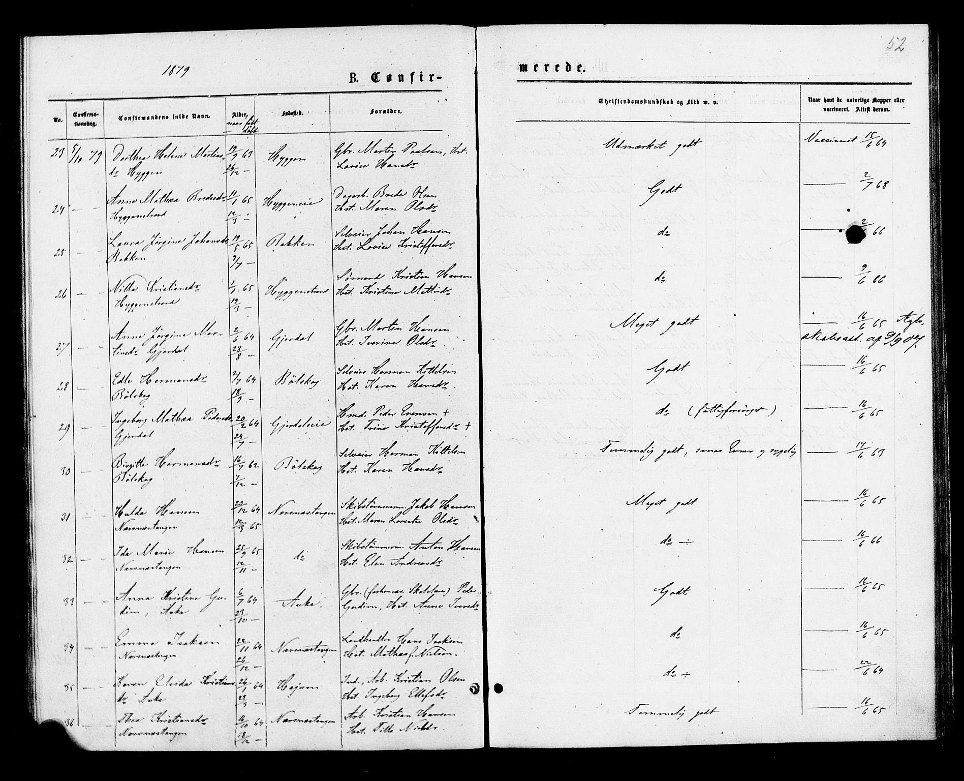 Røyken kirkebøker, AV/SAKO-A-241/F/Fa/L0007: Parish register (official) no. 7, 1876-1879, p. 52