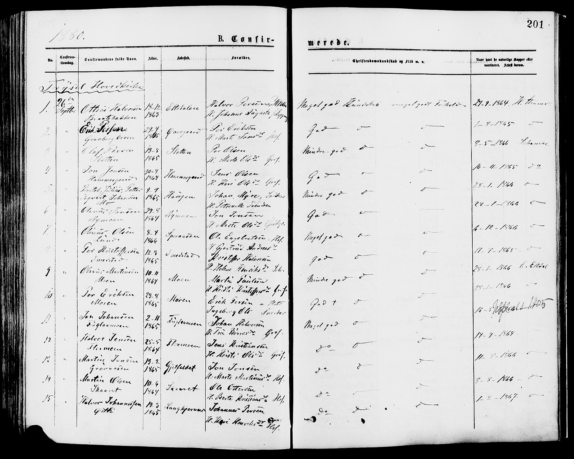 Trysil prestekontor, AV/SAH-PREST-046/H/Ha/Haa/L0007: Parish register (official) no. 7, 1874-1880, p. 201