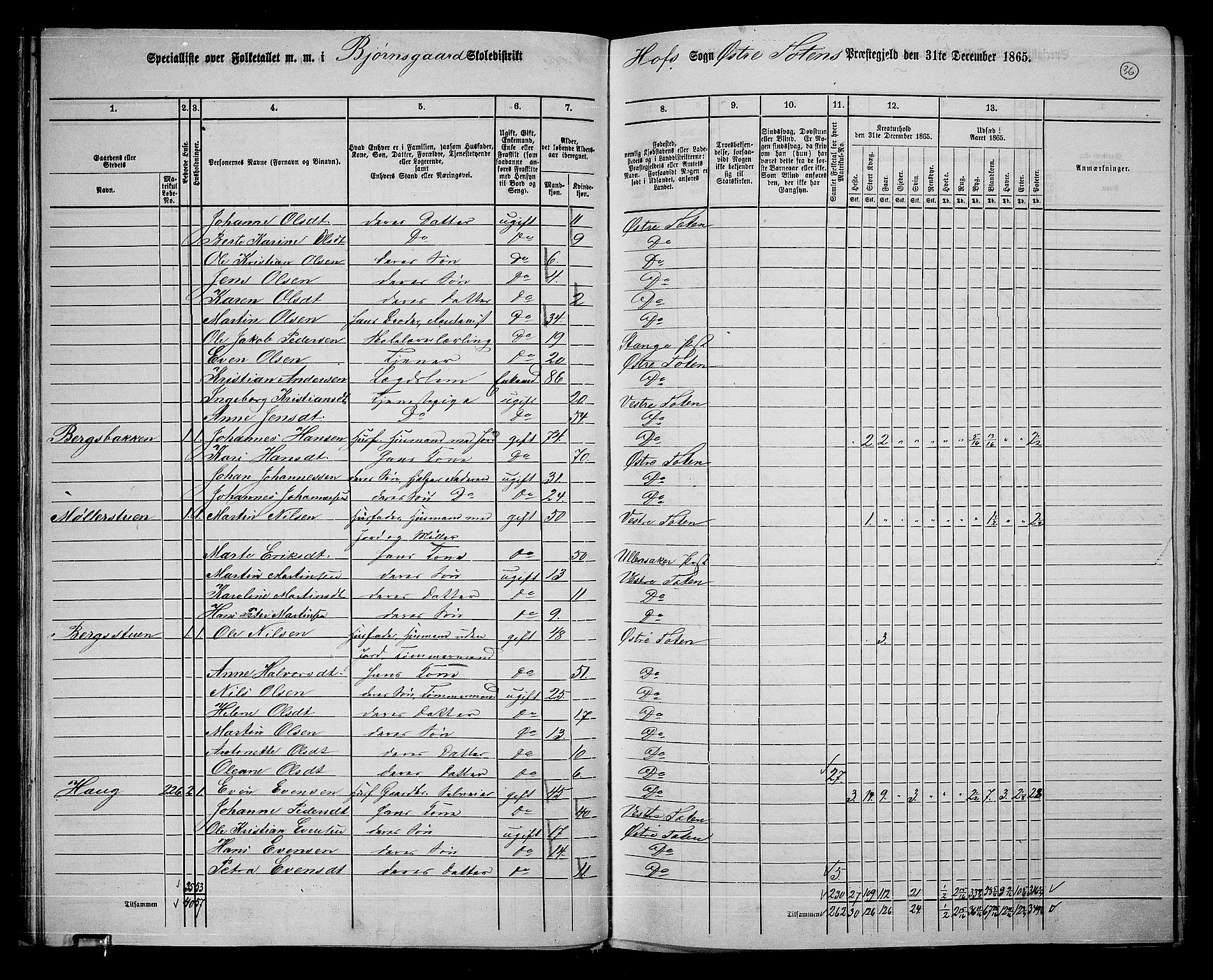 RA, 1865 census for Østre Toten, 1865, p. 165