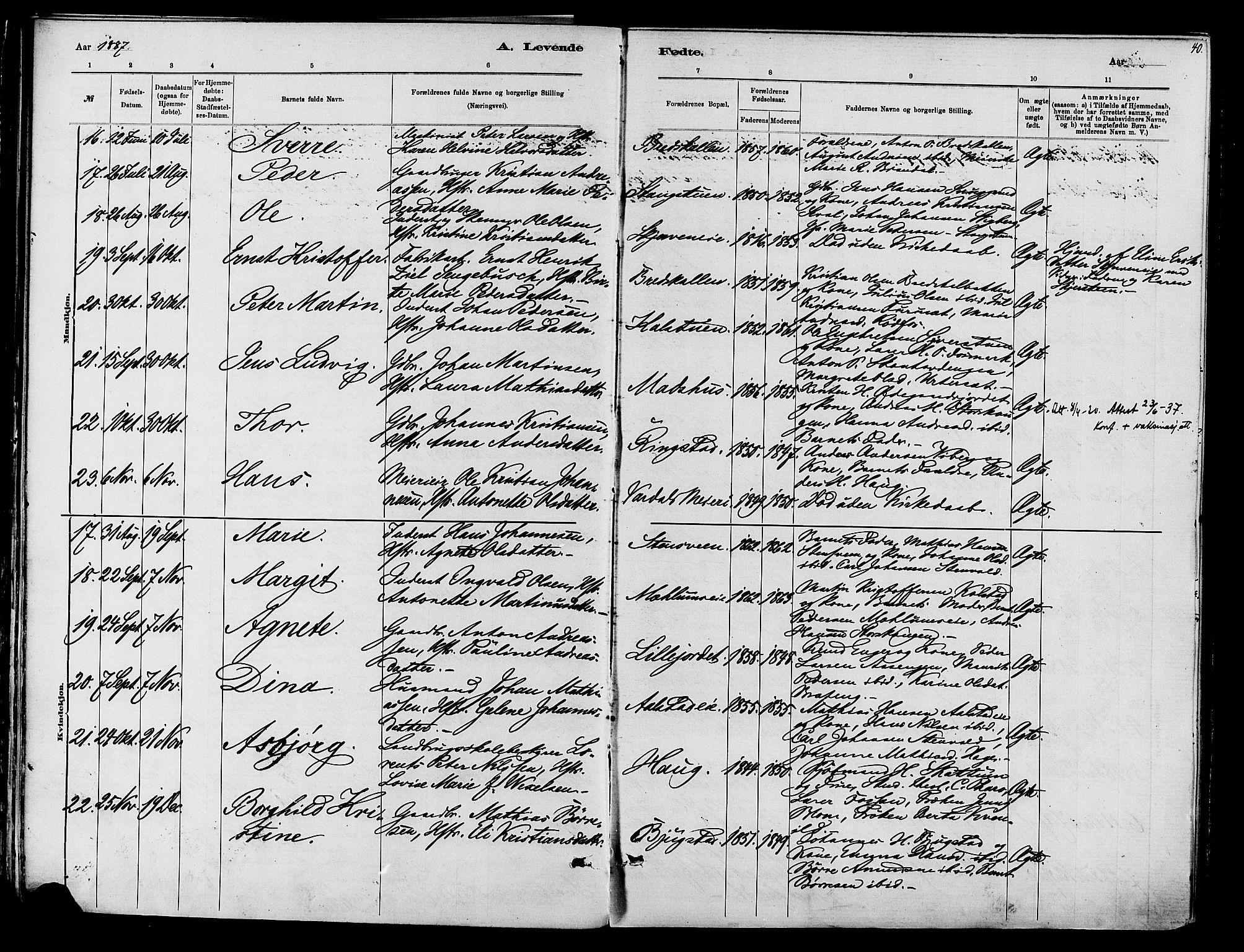 Vardal prestekontor, SAH/PREST-100/H/Ha/Haa/L0010: Parish register (official) no. 10, 1878-1893, p. 40