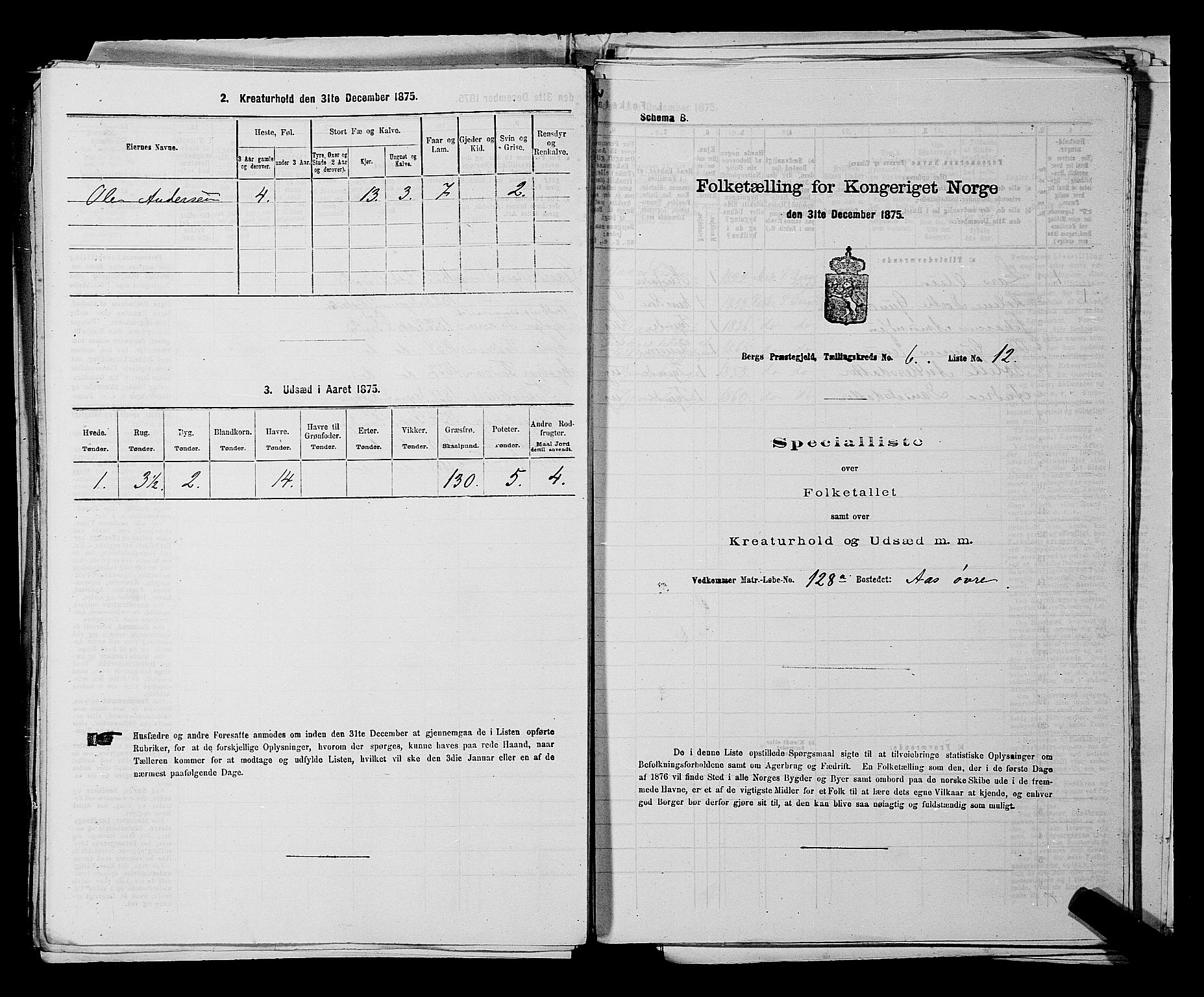 RA, 1875 census for 0116P Berg, 1875, p. 1003