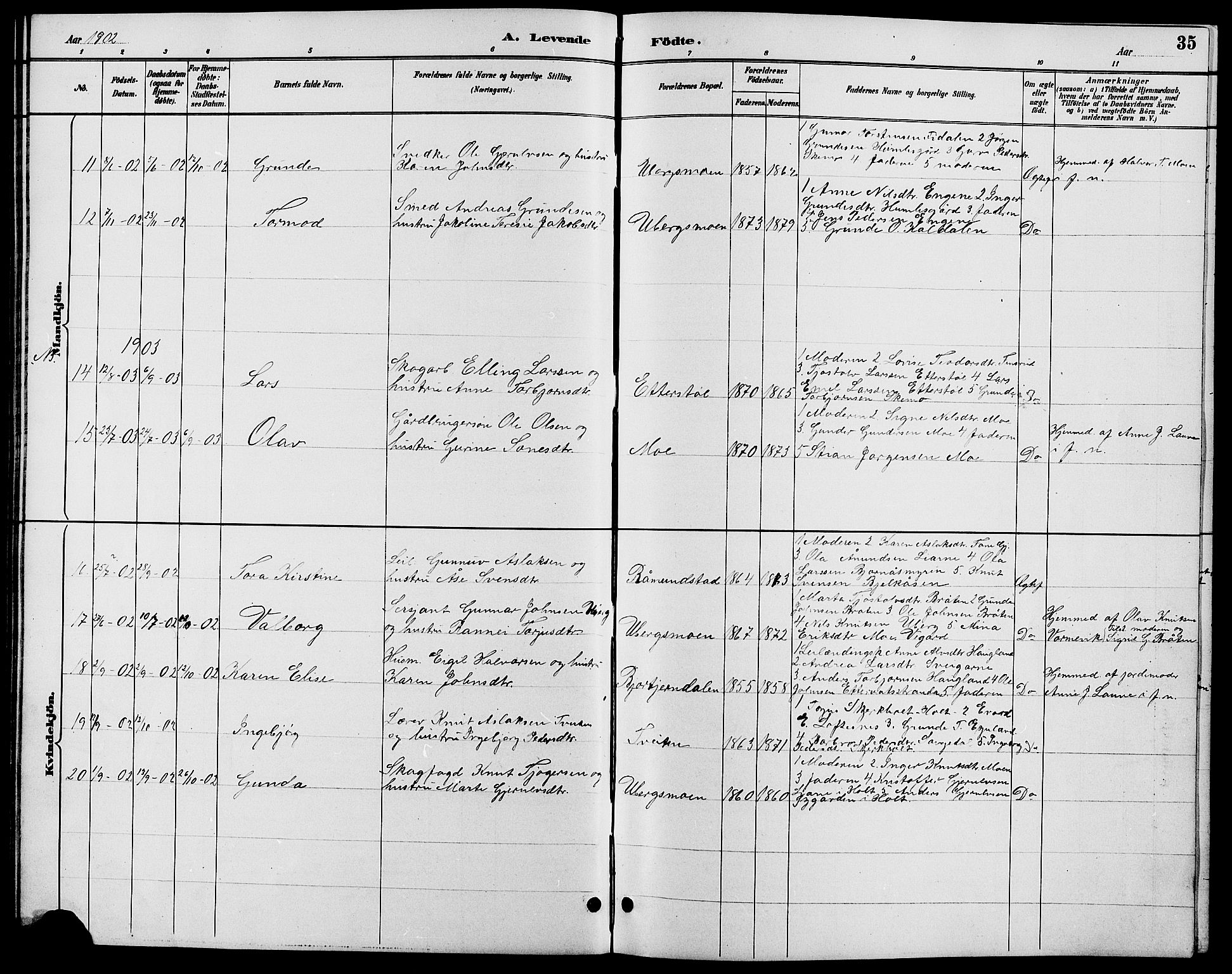 Gjerstad sokneprestkontor, AV/SAK-1111-0014/F/Fb/Fbb/L0004: Parish register (copy) no. B 4, 1890-1910, p. 35