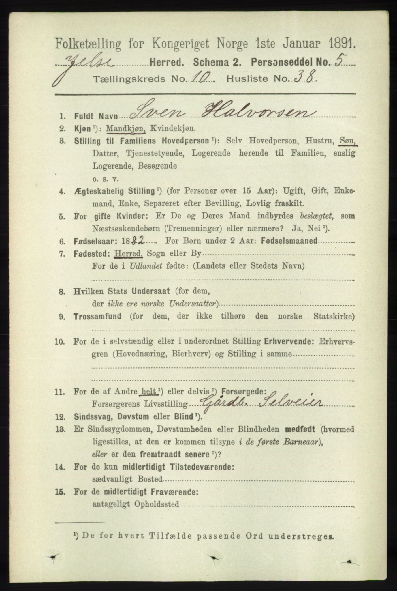 RA, 1891 census for 1138 Jelsa, 1891, p. 2632