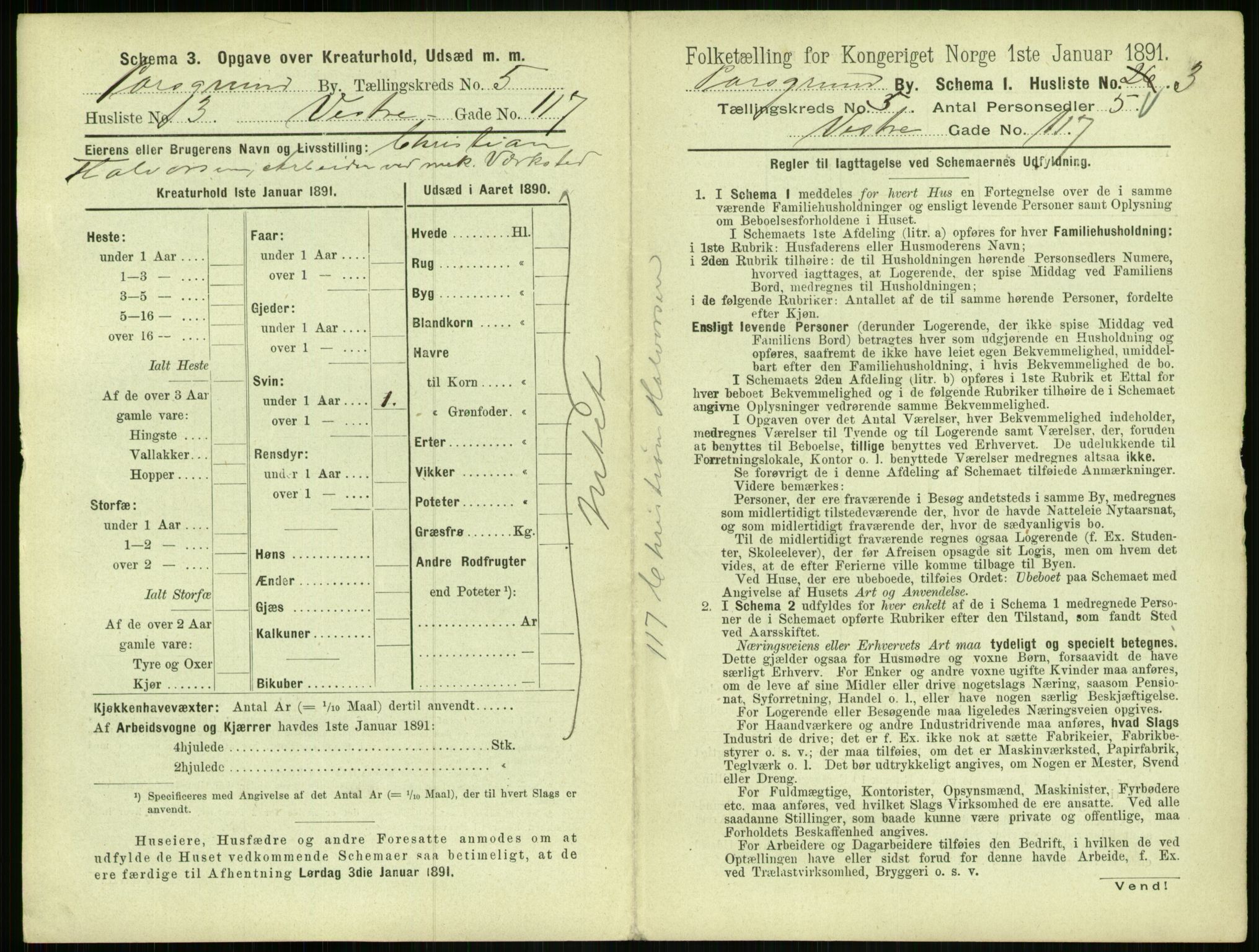 RA, 1891 census for 0805 Porsgrunn, 1891, p. 1003