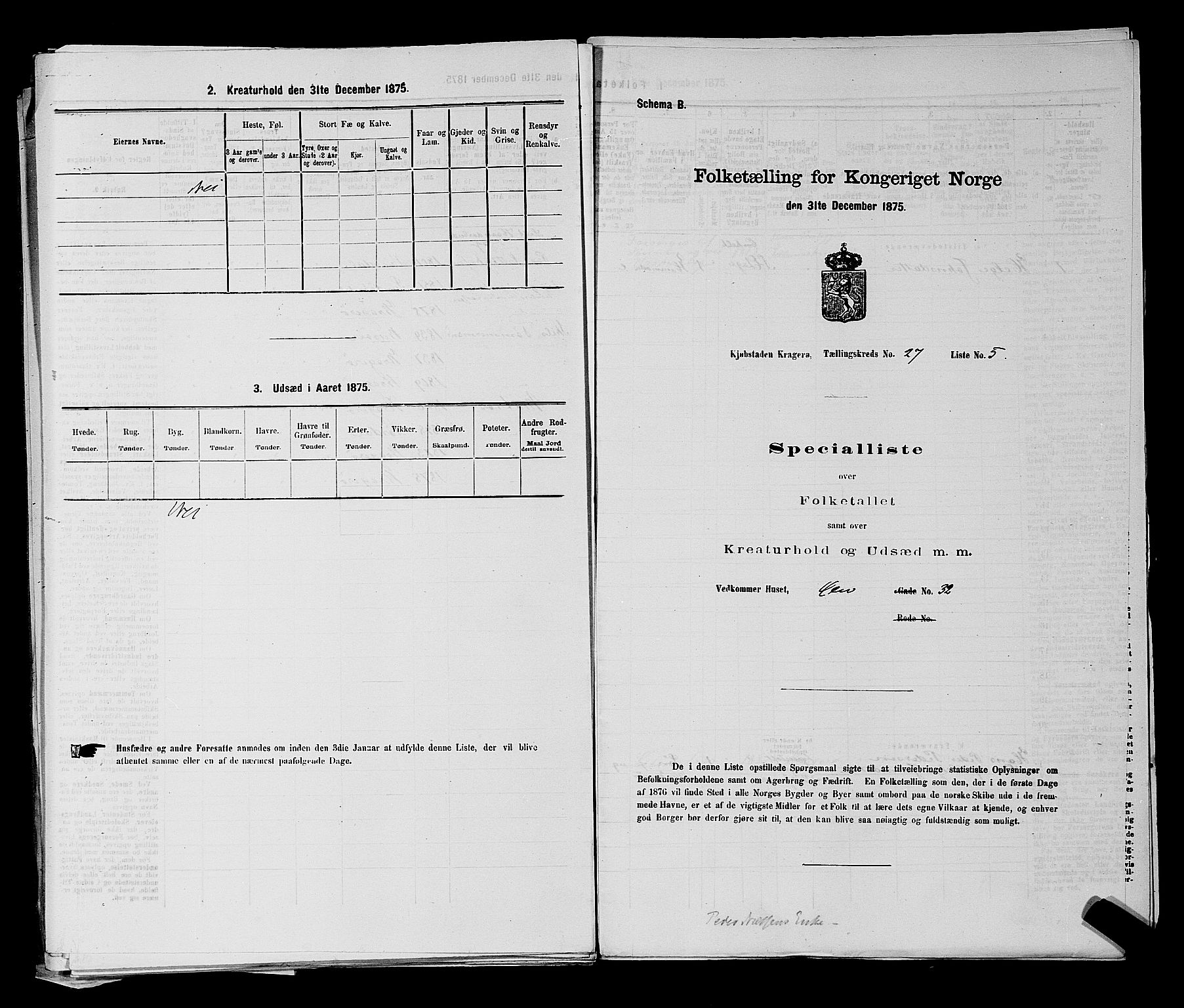 SAKO, 1875 census for 0801P Kragerø, 1875, p. 594