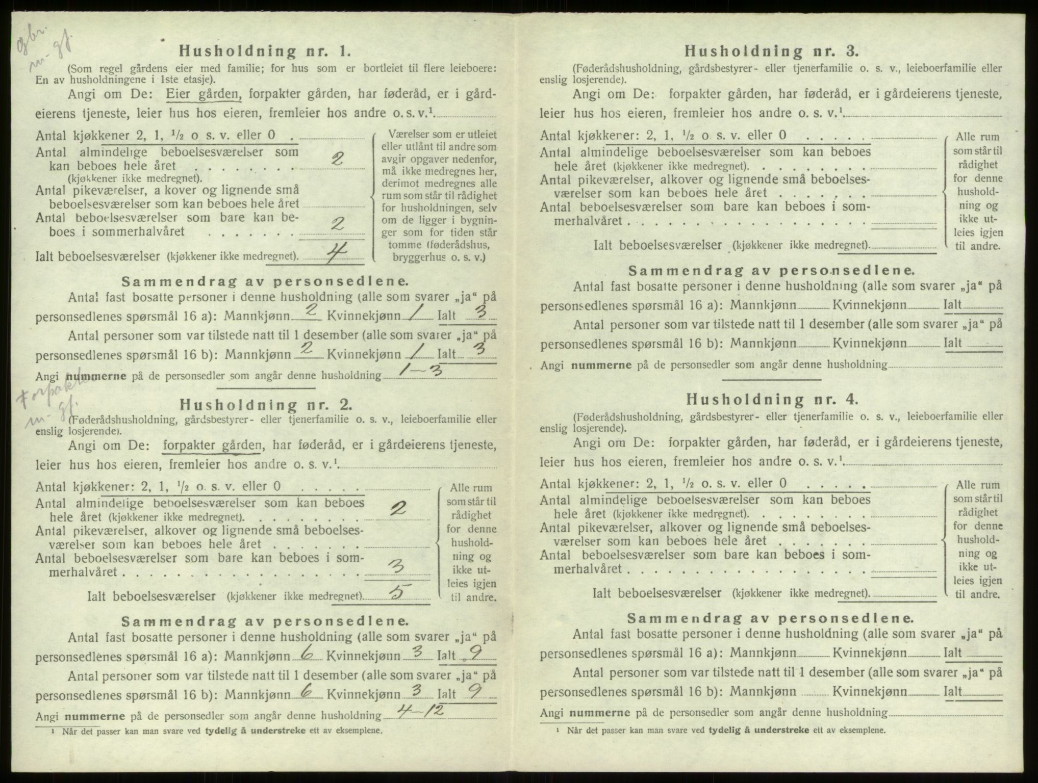 SAB, 1920 census for Stryn, 1920, p. 290