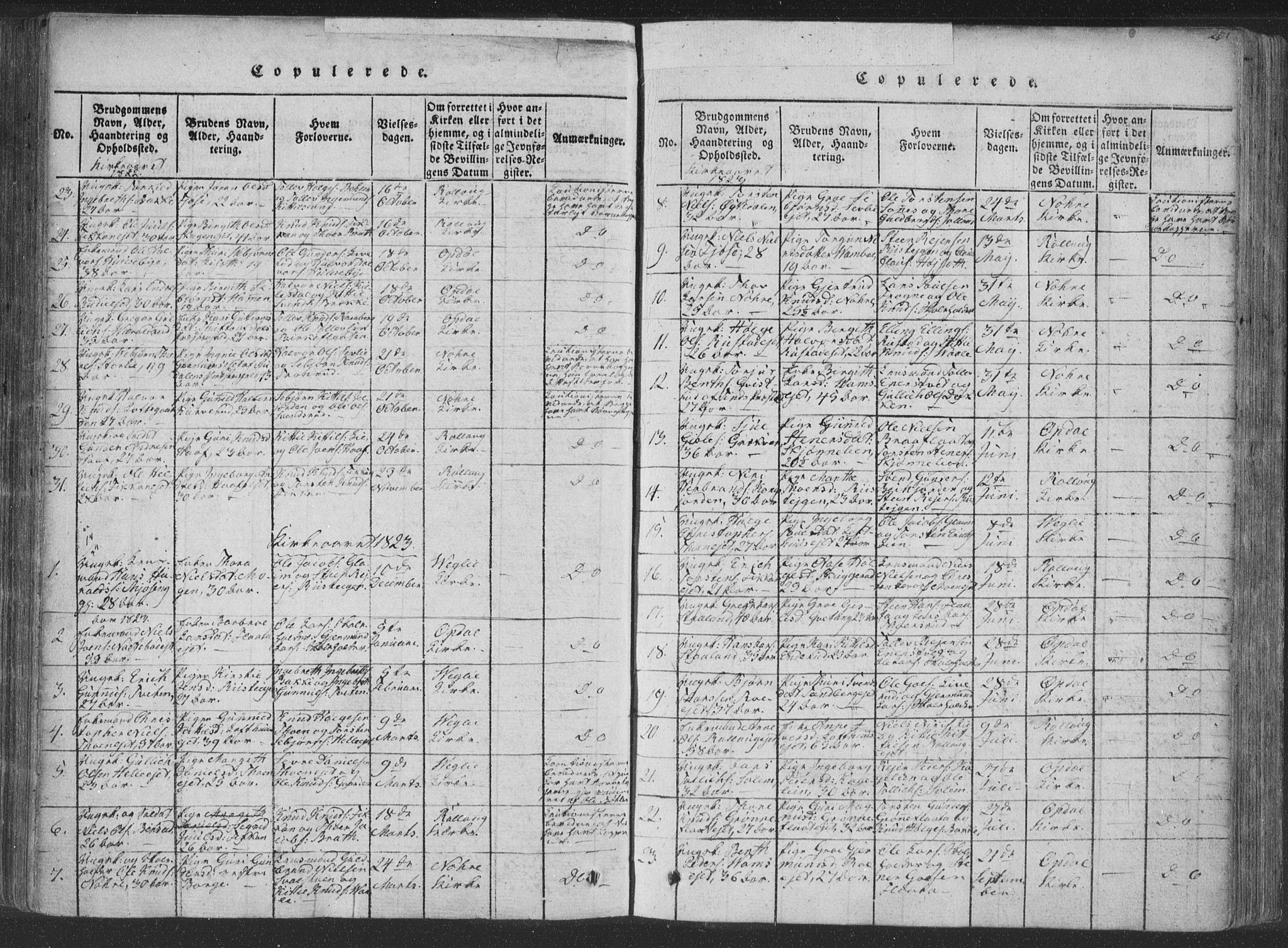 Rollag kirkebøker, AV/SAKO-A-240/F/Fa/L0006: Parish register (official) no. I 6, 1814-1828, p. 201