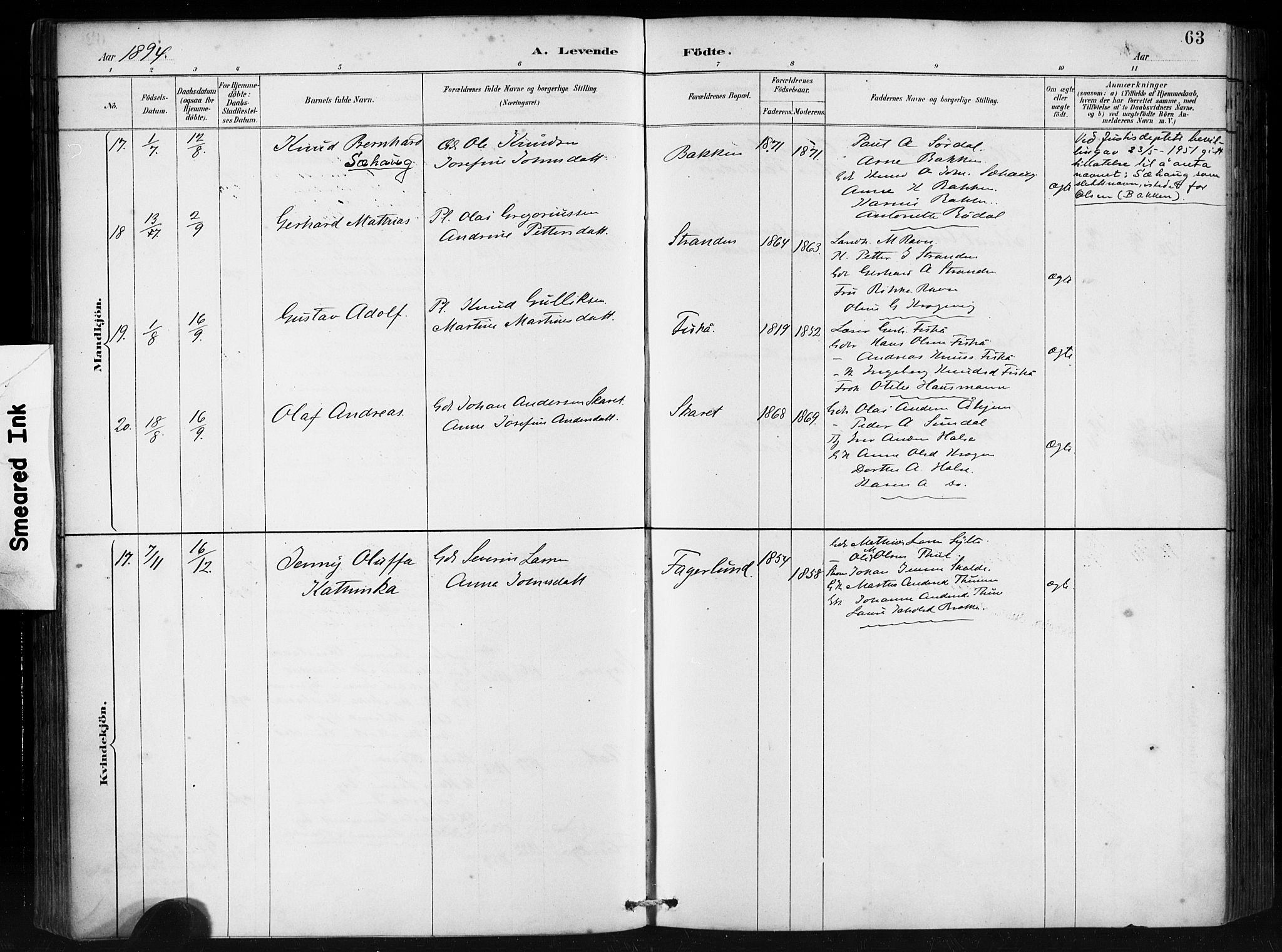 Ministerialprotokoller, klokkerbøker og fødselsregistre - Møre og Romsdal, AV/SAT-A-1454/501/L0008: Parish register (official) no. 501A08, 1885-1901, p. 63