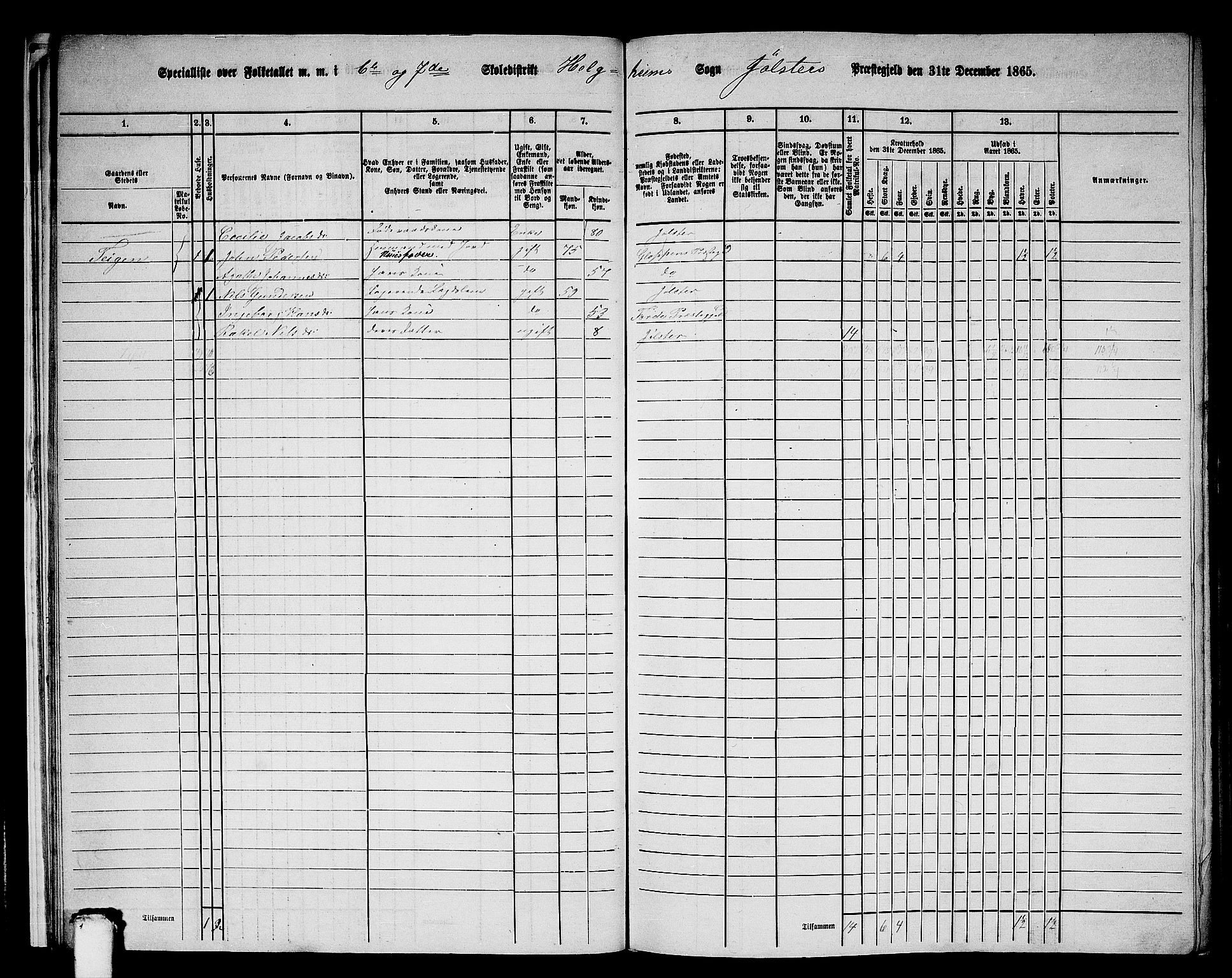 RA, 1865 census for Jølster, 1865, p. 20