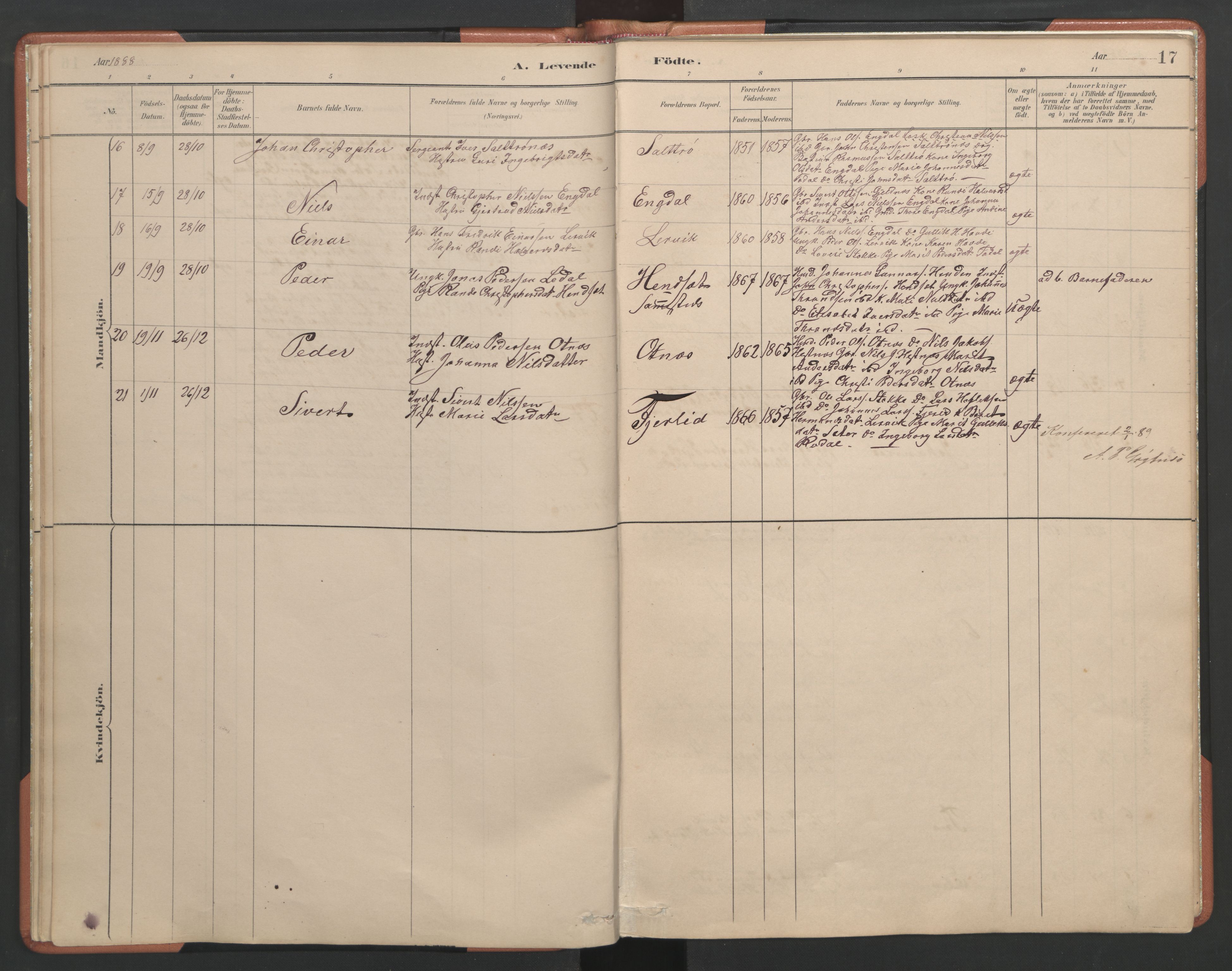 Ministerialprotokoller, klokkerbøker og fødselsregistre - Møre og Romsdal, SAT/A-1454/580/L0926: Parish register (copy) no. 580C01, 1882-1903, p. 17