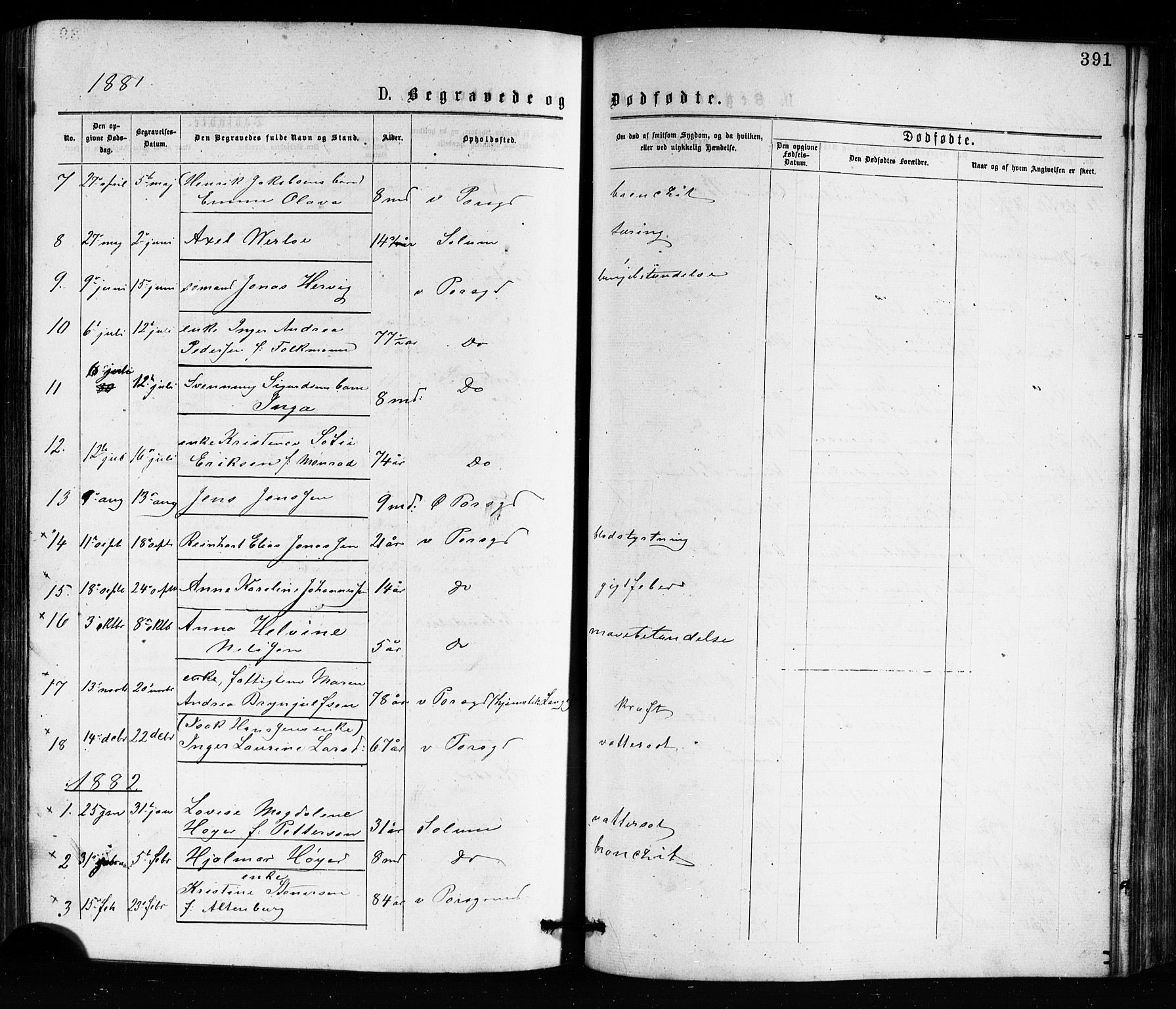 Porsgrunn kirkebøker , SAKO/A-104/G/Ga/L0003: Parish register (copy) no. I 3, 1877-1915, p. 391
