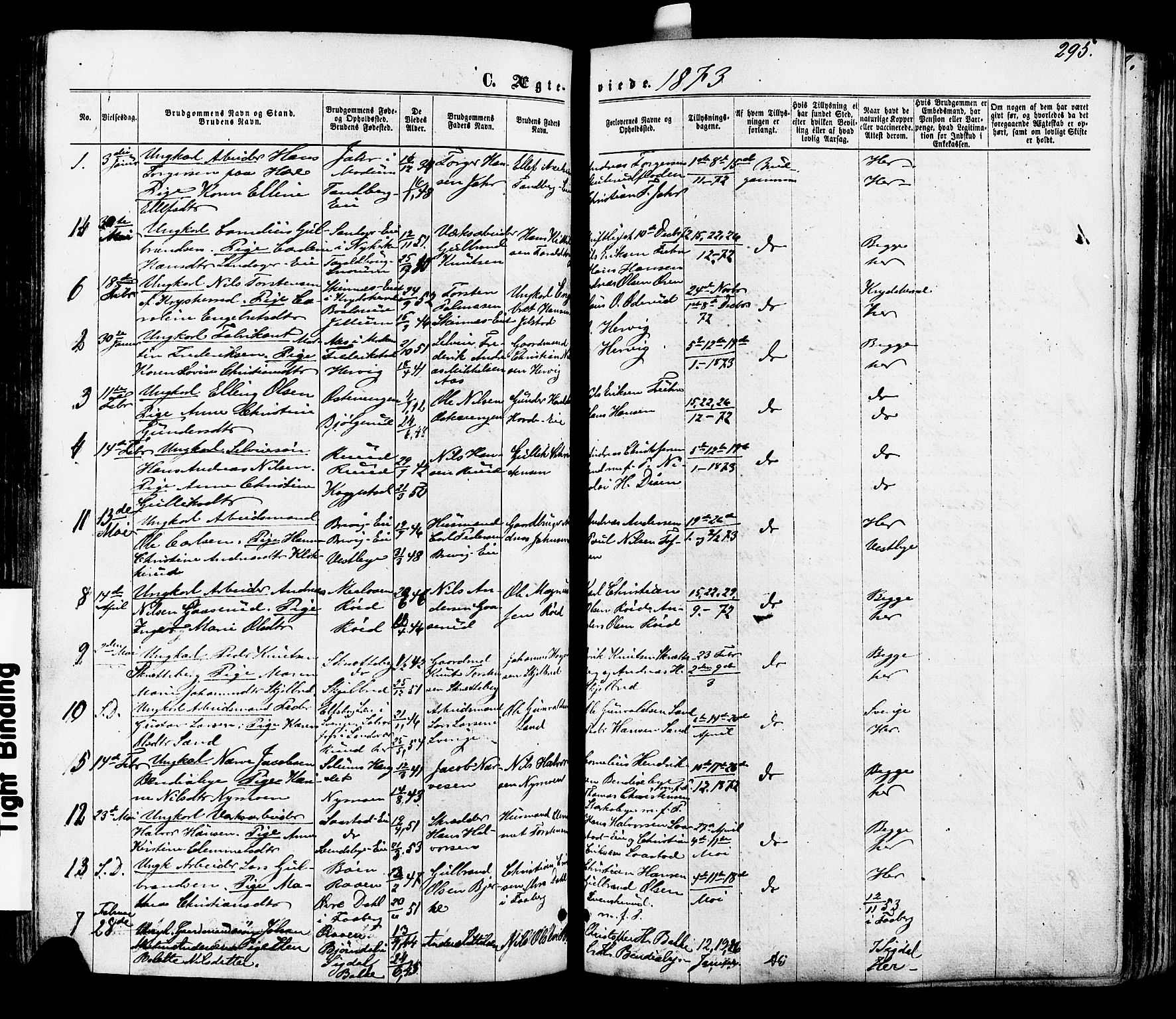 Modum kirkebøker, AV/SAKO-A-234/F/Fa/L0010: Parish register (official) no. 10, 1865-1876, p. 295