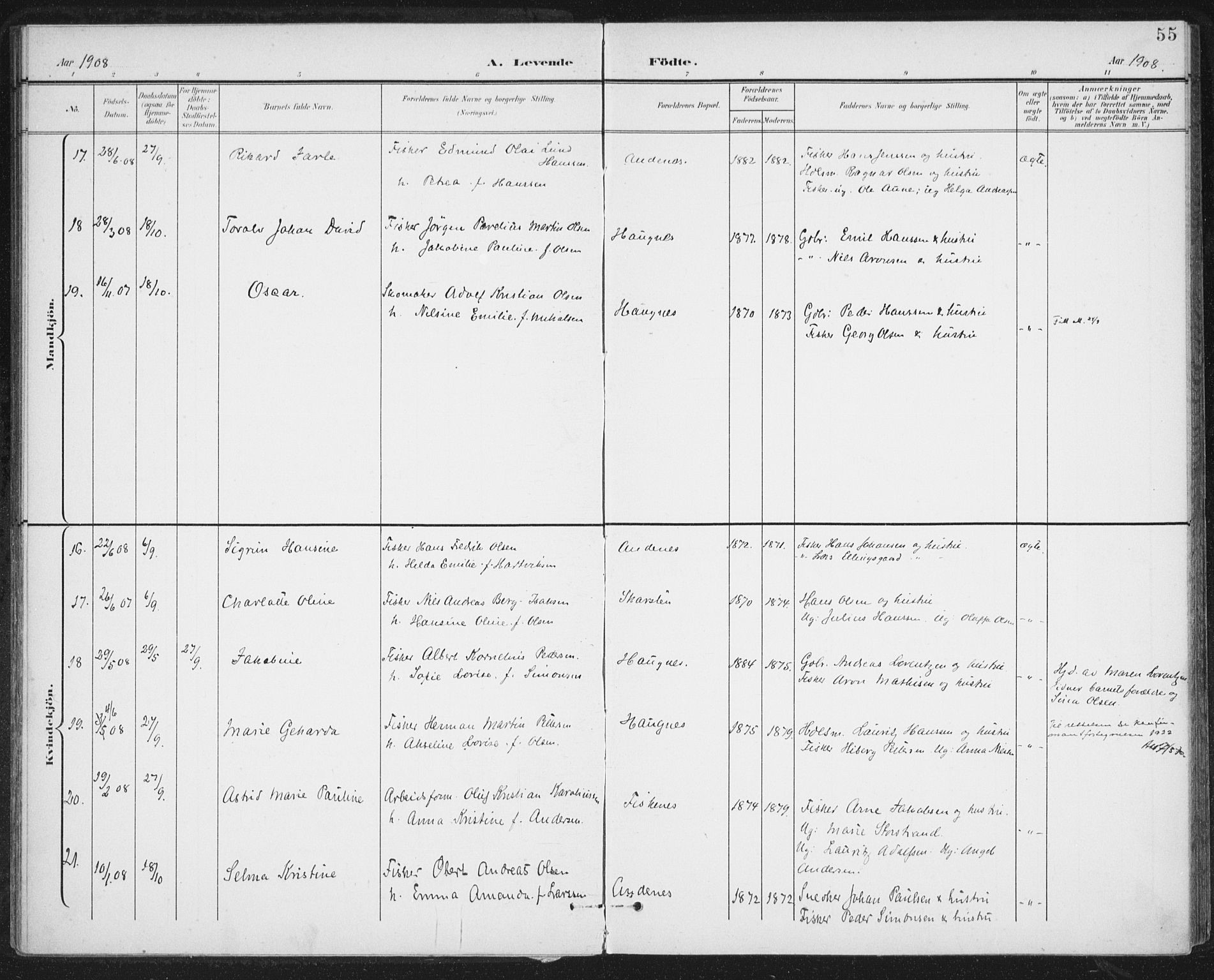 Ministerialprotokoller, klokkerbøker og fødselsregistre - Nordland, AV/SAT-A-1459/899/L1437: Parish register (official) no. 899A05, 1897-1908, p. 55