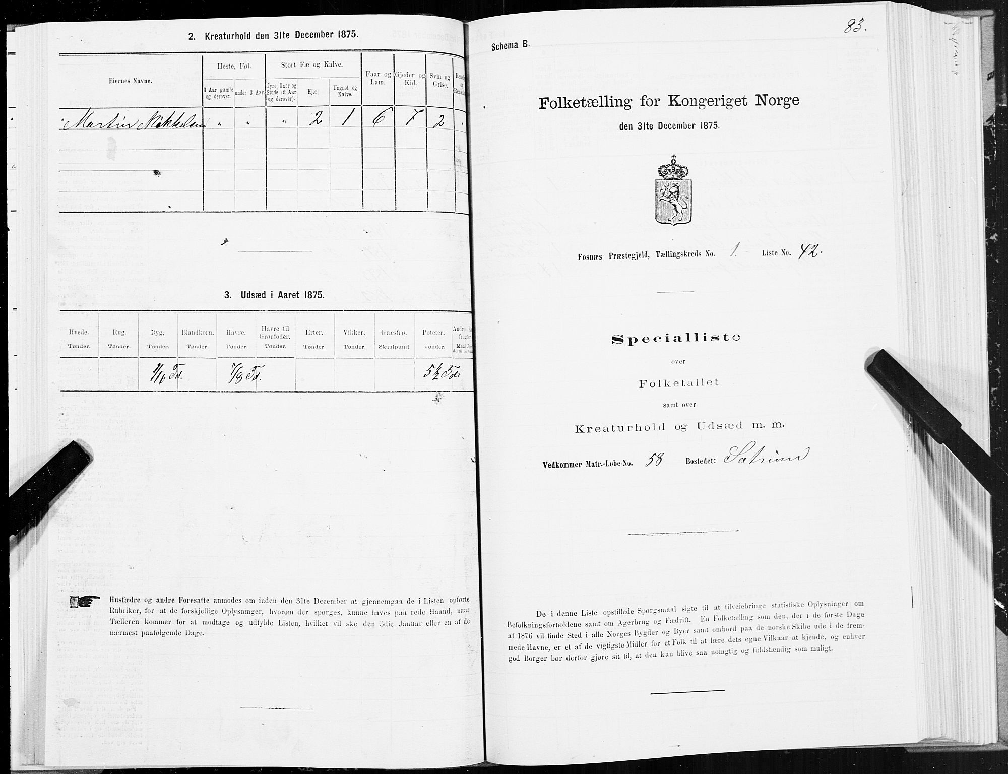 SAT, 1875 census for 1748P Fosnes, 1875, p. 3083