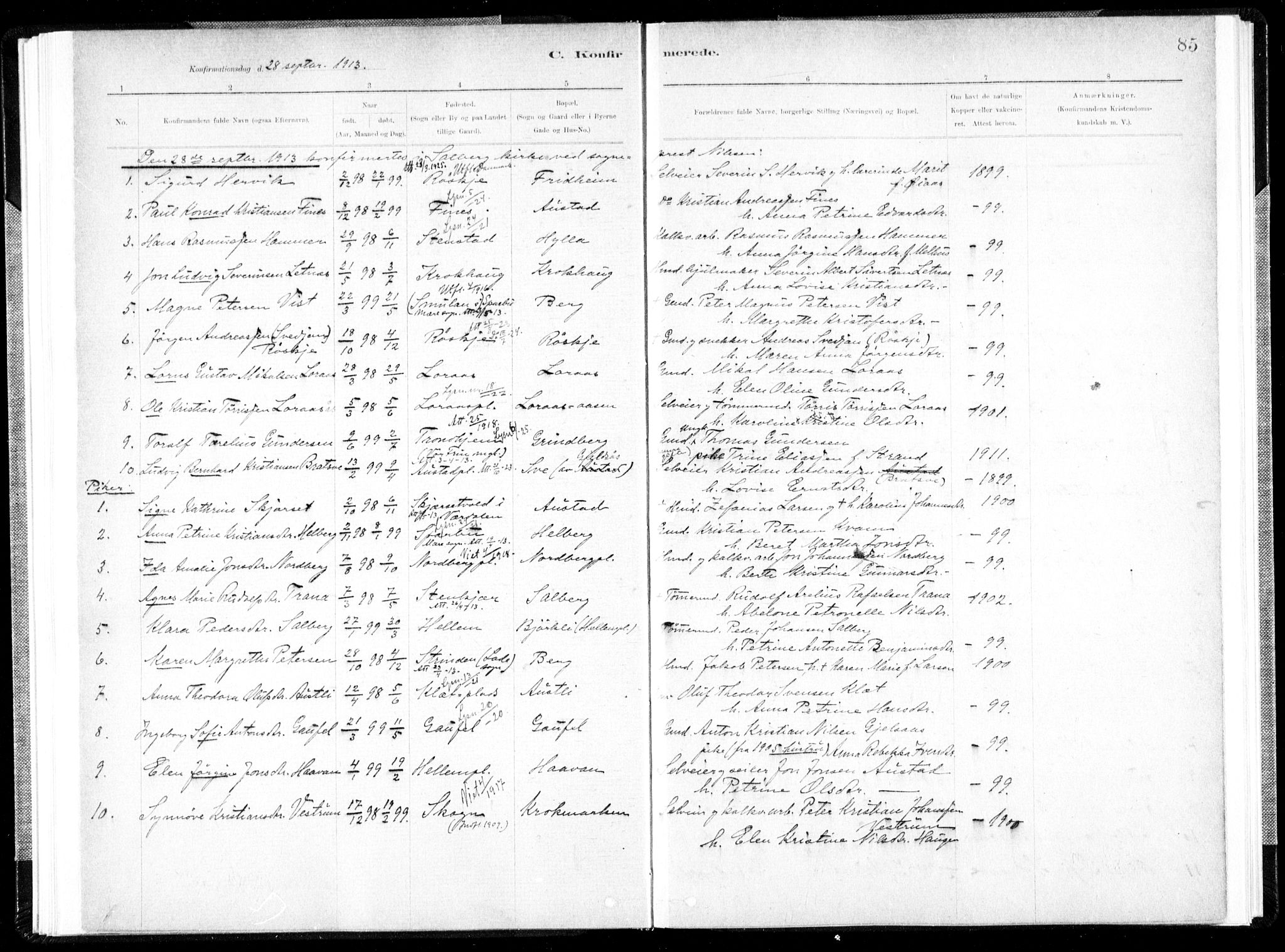 Ministerialprotokoller, klokkerbøker og fødselsregistre - Nord-Trøndelag, AV/SAT-A-1458/731/L0309: Parish register (official) no. 731A01, 1879-1918, p. 85