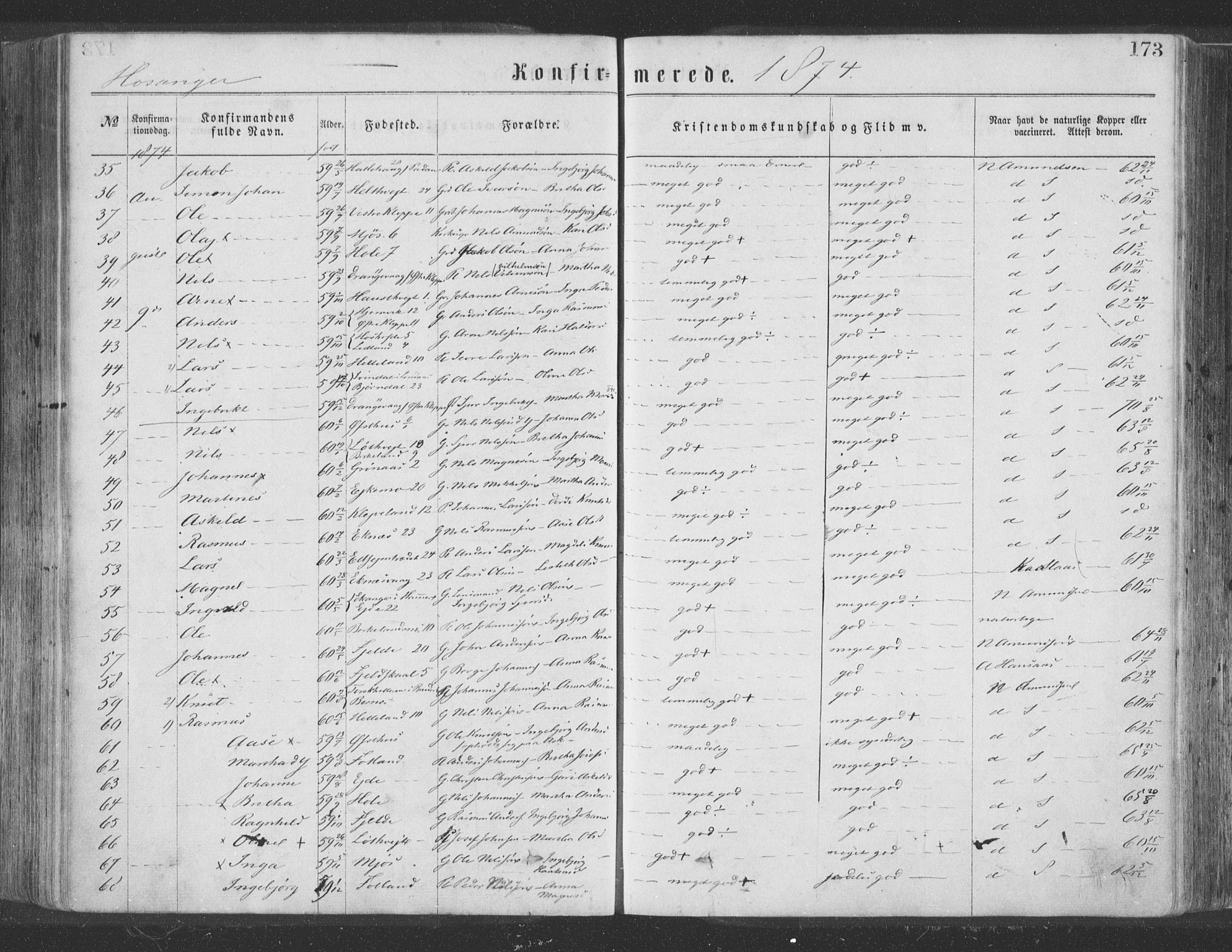Hosanger sokneprestembete, SAB/A-75801/H/Haa: Parish register (official) no. A 9, 1864-1876, p. 173
