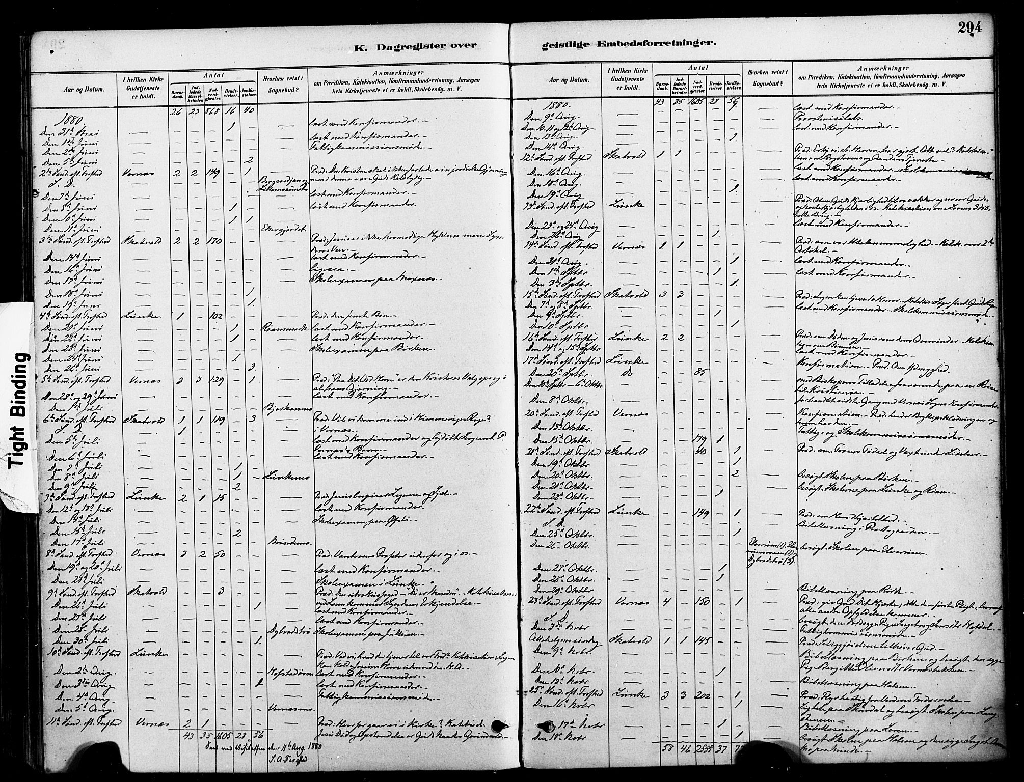 Ministerialprotokoller, klokkerbøker og fødselsregistre - Nord-Trøndelag, SAT/A-1458/709/L0077: Parish register (official) no. 709A17, 1880-1895, p. 294