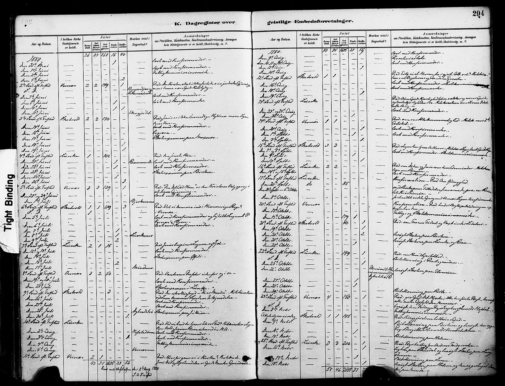 Ministerialprotokoller, klokkerbøker og fødselsregistre - Nord-Trøndelag, AV/SAT-A-1458/709/L0077: Parish register (official) no. 709A17, 1880-1895, p. 294