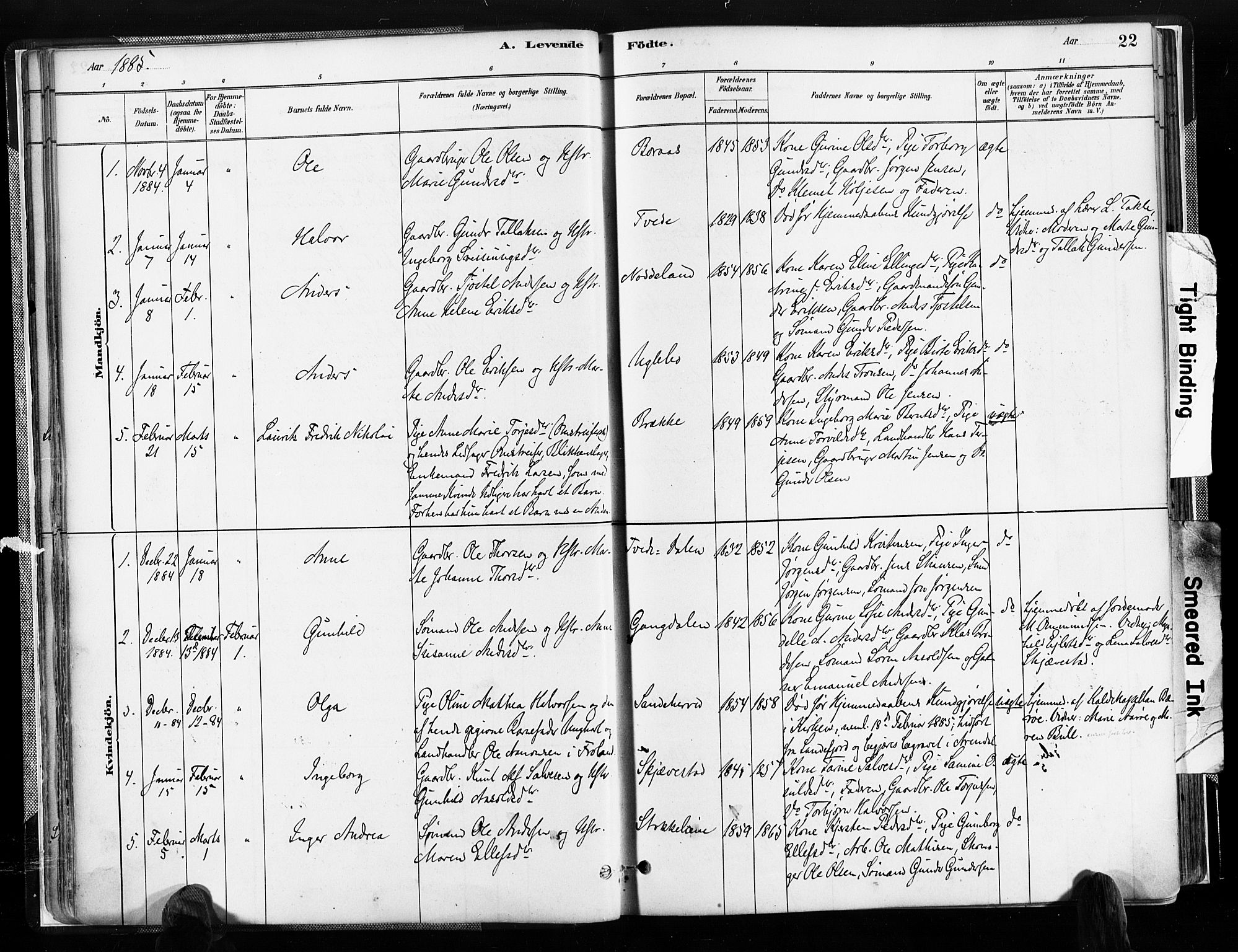 Austre Moland sokneprestkontor, SAK/1111-0001/F/Fa/Faa/L0010: Parish register (official) no. A 10, 1880-1904, p. 22
