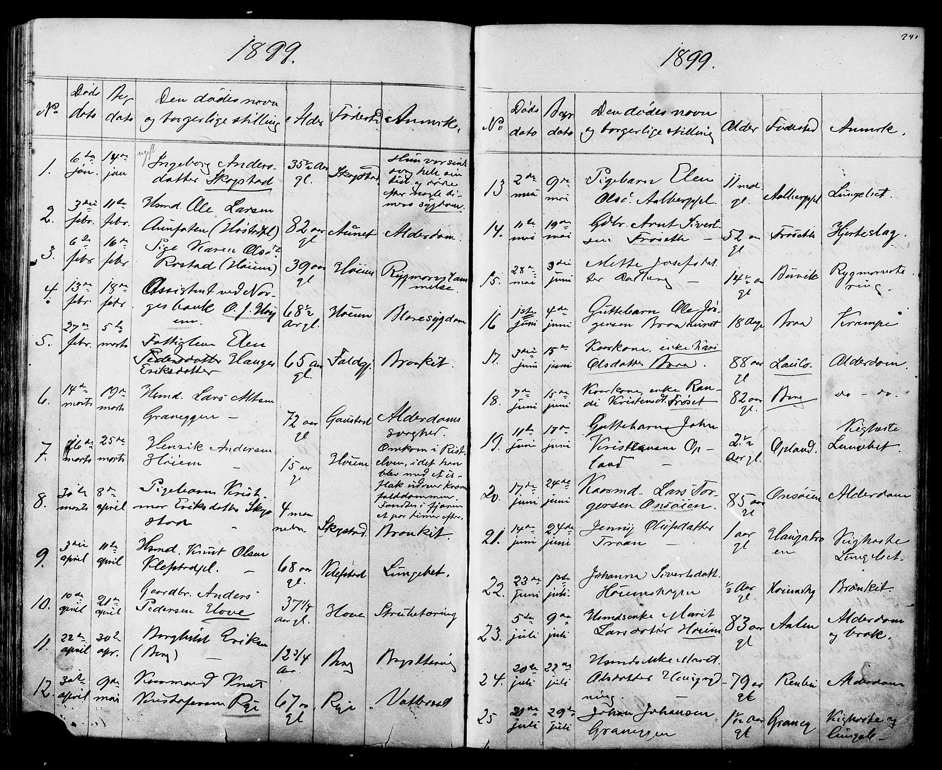 Ministerialprotokoller, klokkerbøker og fødselsregistre - Sør-Trøndelag, SAT/A-1456/612/L0387: Parish register (copy) no. 612C03, 1874-1908, p. 241