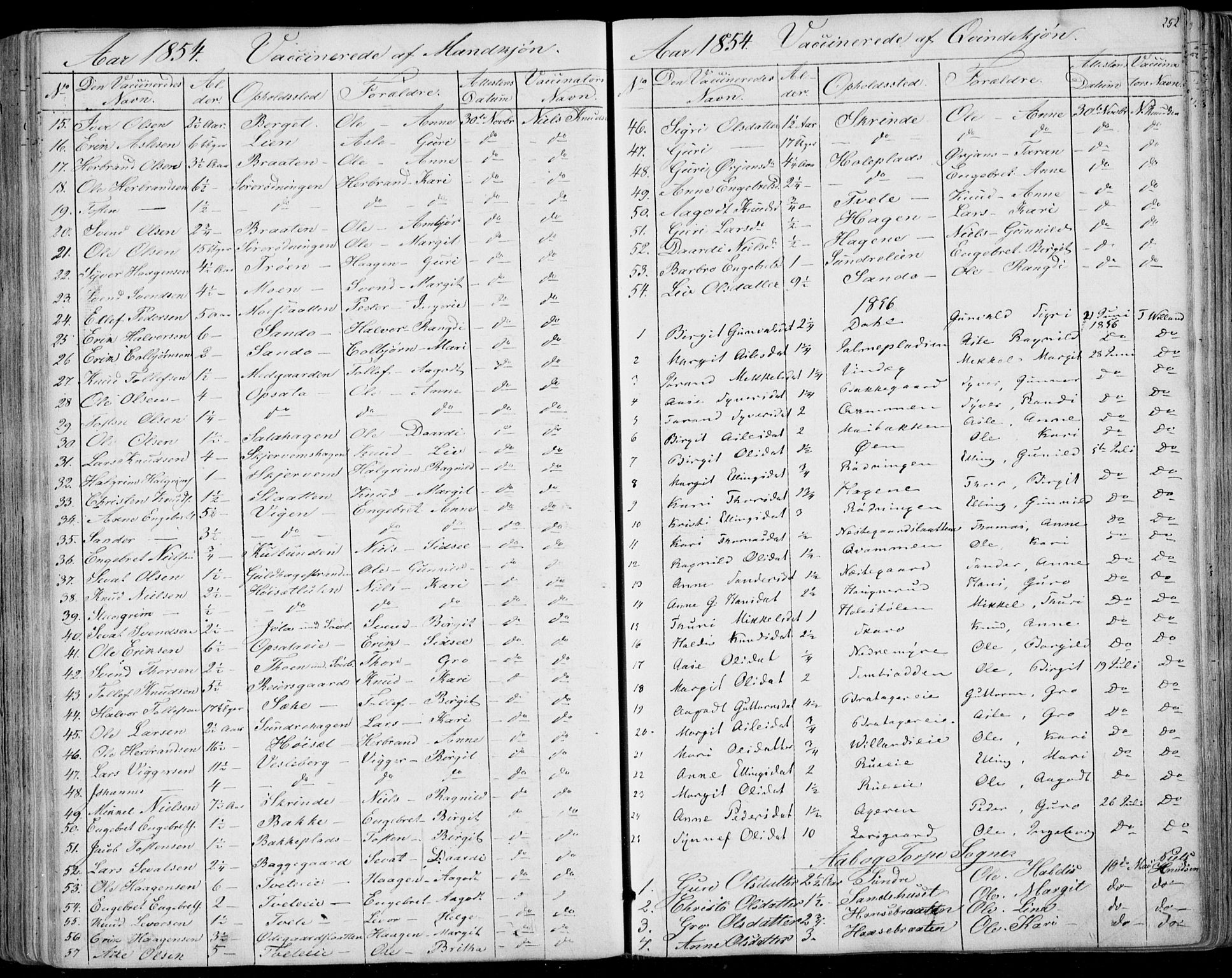 Ål kirkebøker, AV/SAKO-A-249/F/Fa/L0006: Parish register (official) no. I 6, 1849-1864, p. 252