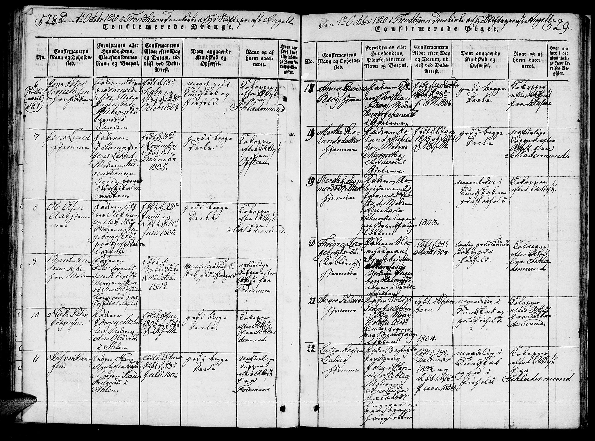 Ministerialprotokoller, klokkerbøker og fødselsregistre - Sør-Trøndelag, AV/SAT-A-1456/601/L0043: Parish register (official) no. 601A11, 1815-1821, p. 528-529