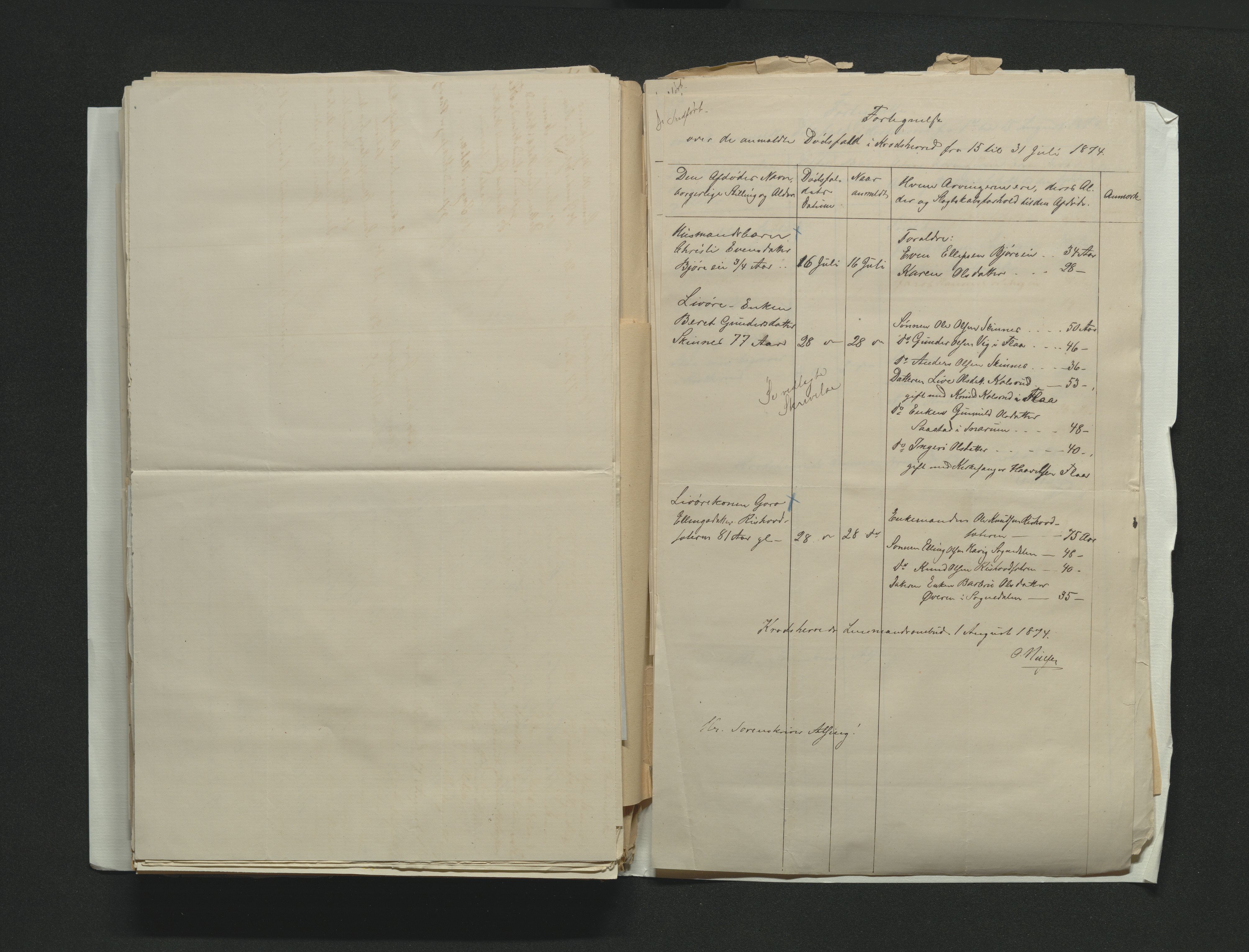 Eiker, Modum og Sigdal sorenskriveri, AV/SAKO-A-123/H/Ha/Hab/L0014: Dødsfallsmeldinger, 1874-1877, p. 160