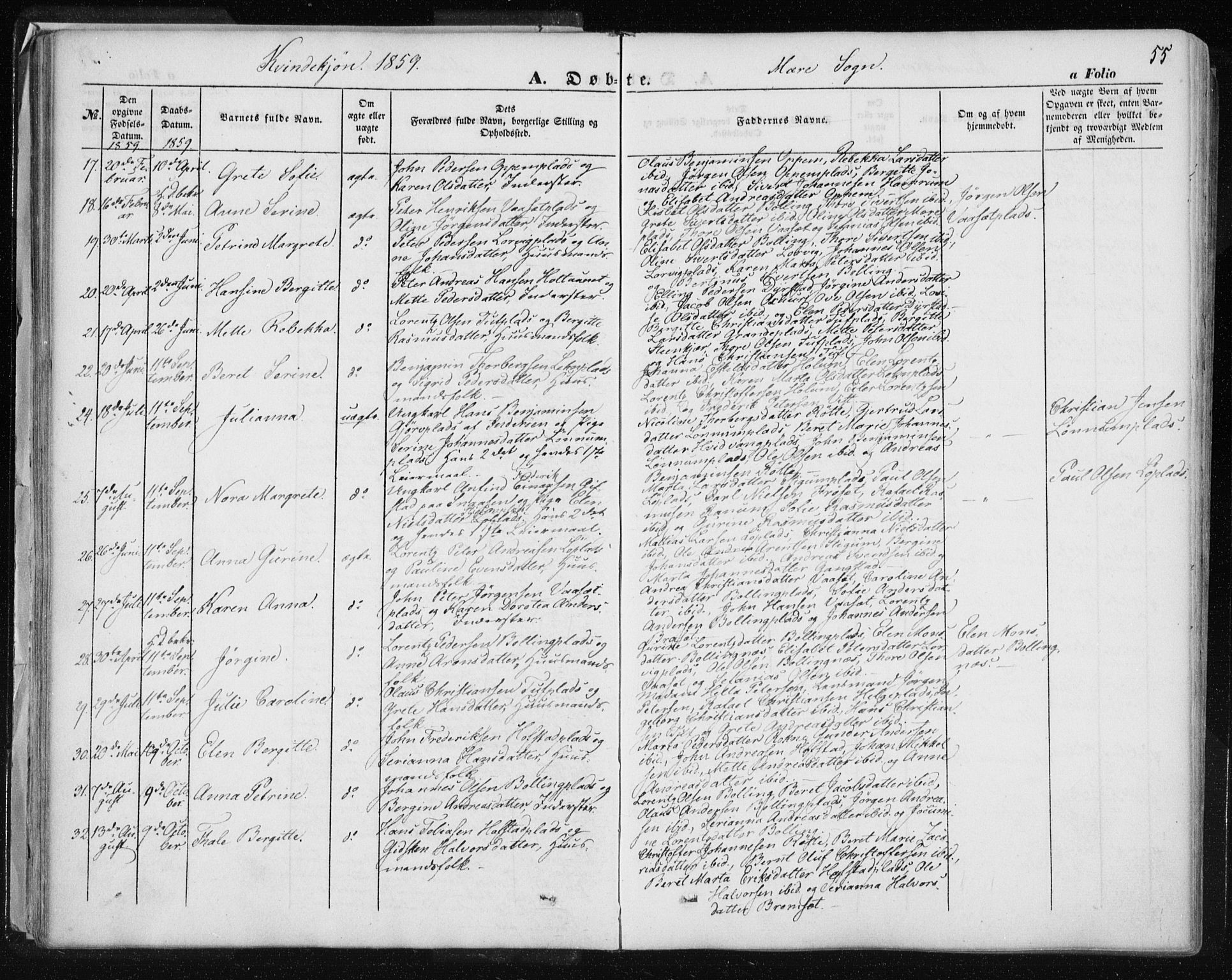 Ministerialprotokoller, klokkerbøker og fødselsregistre - Nord-Trøndelag, AV/SAT-A-1458/735/L0342: Parish register (official) no. 735A07 /1, 1849-1862, p. 55