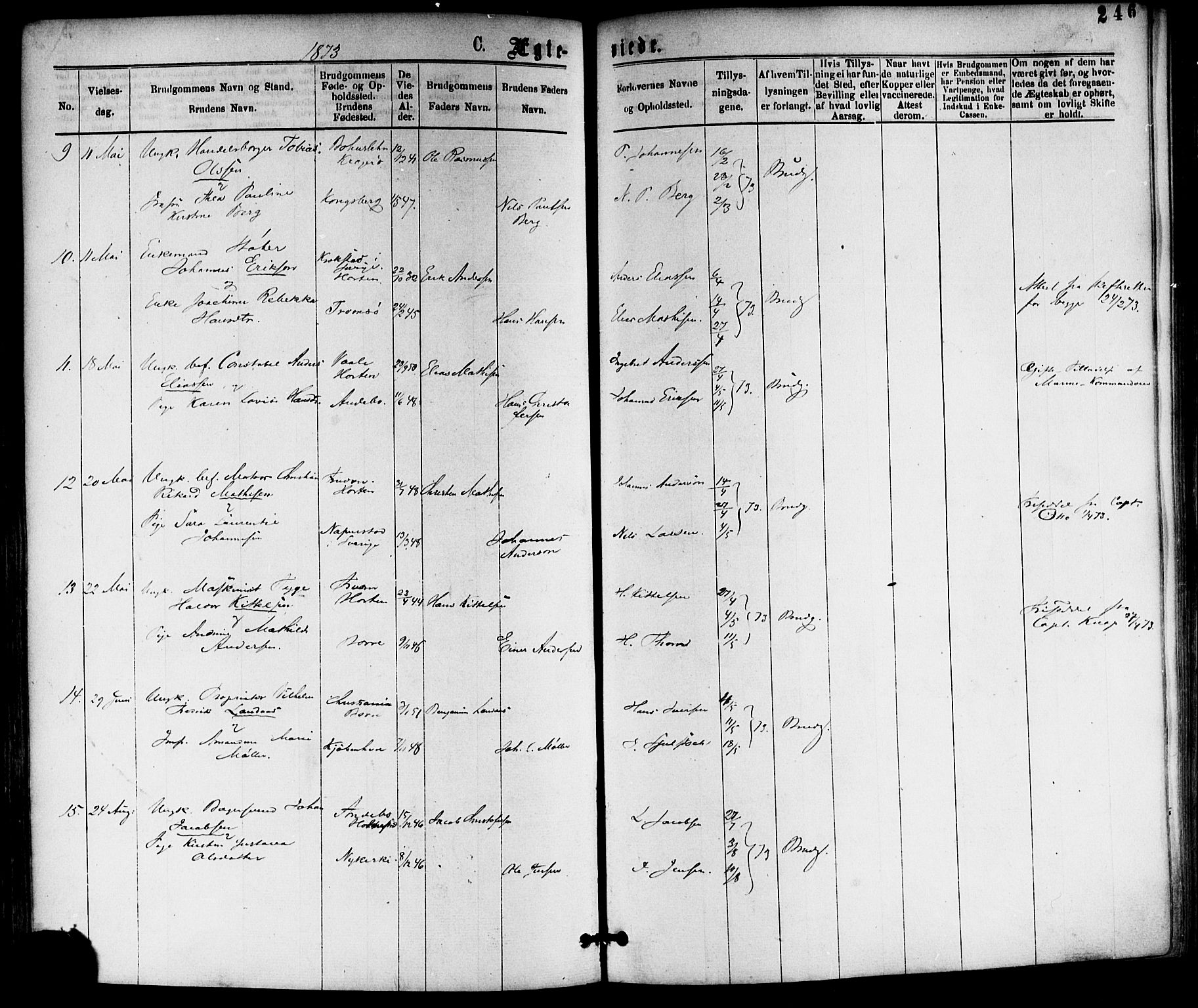 Horten kirkebøker, AV/SAKO-A-348/F/Fa/L0002: Parish register (official) no. 2, 1872-1877, p. 246