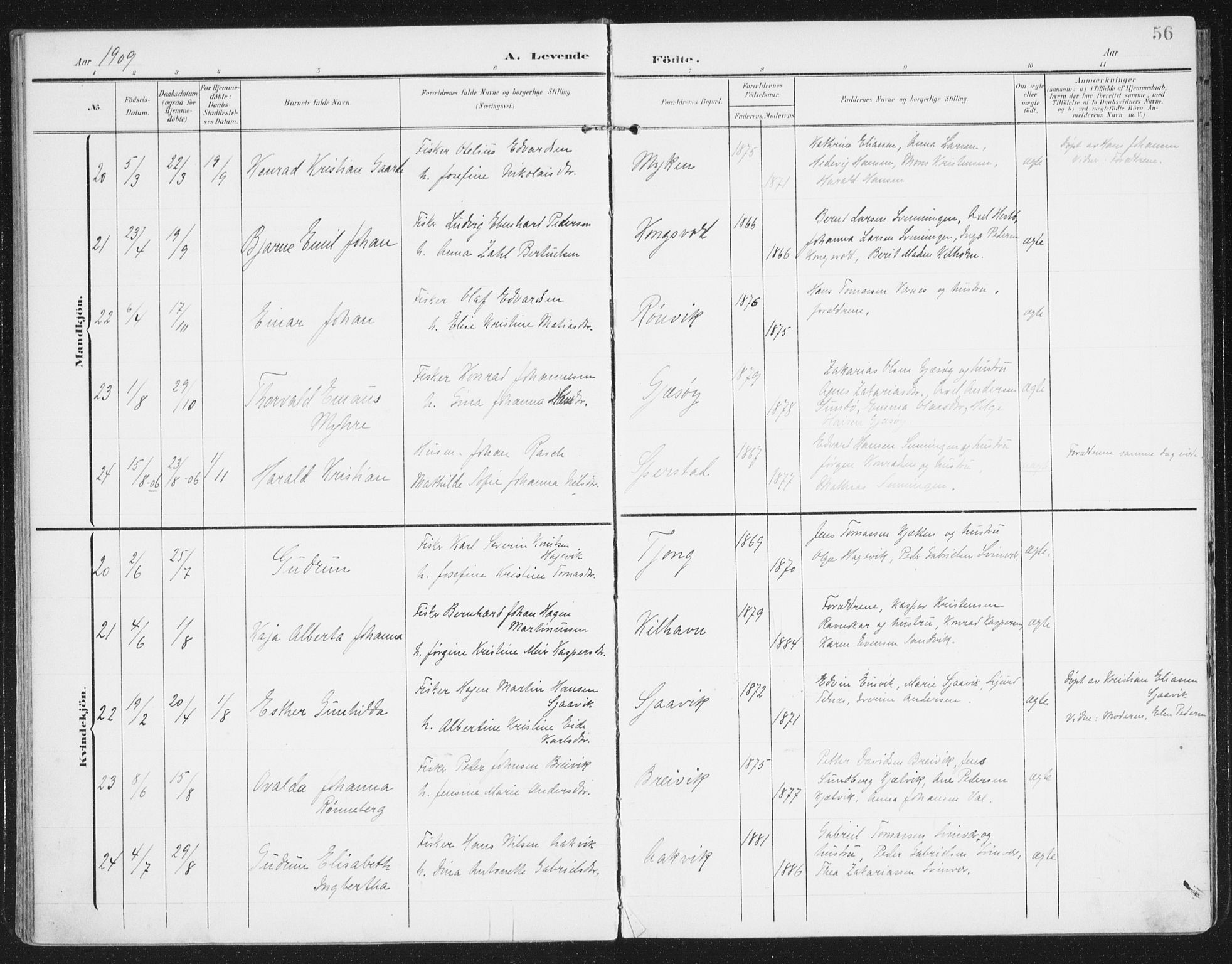 Ministerialprotokoller, klokkerbøker og fødselsregistre - Nordland, AV/SAT-A-1459/841/L0612: Parish register (official) no. 841A15, 1902-1910, p. 56