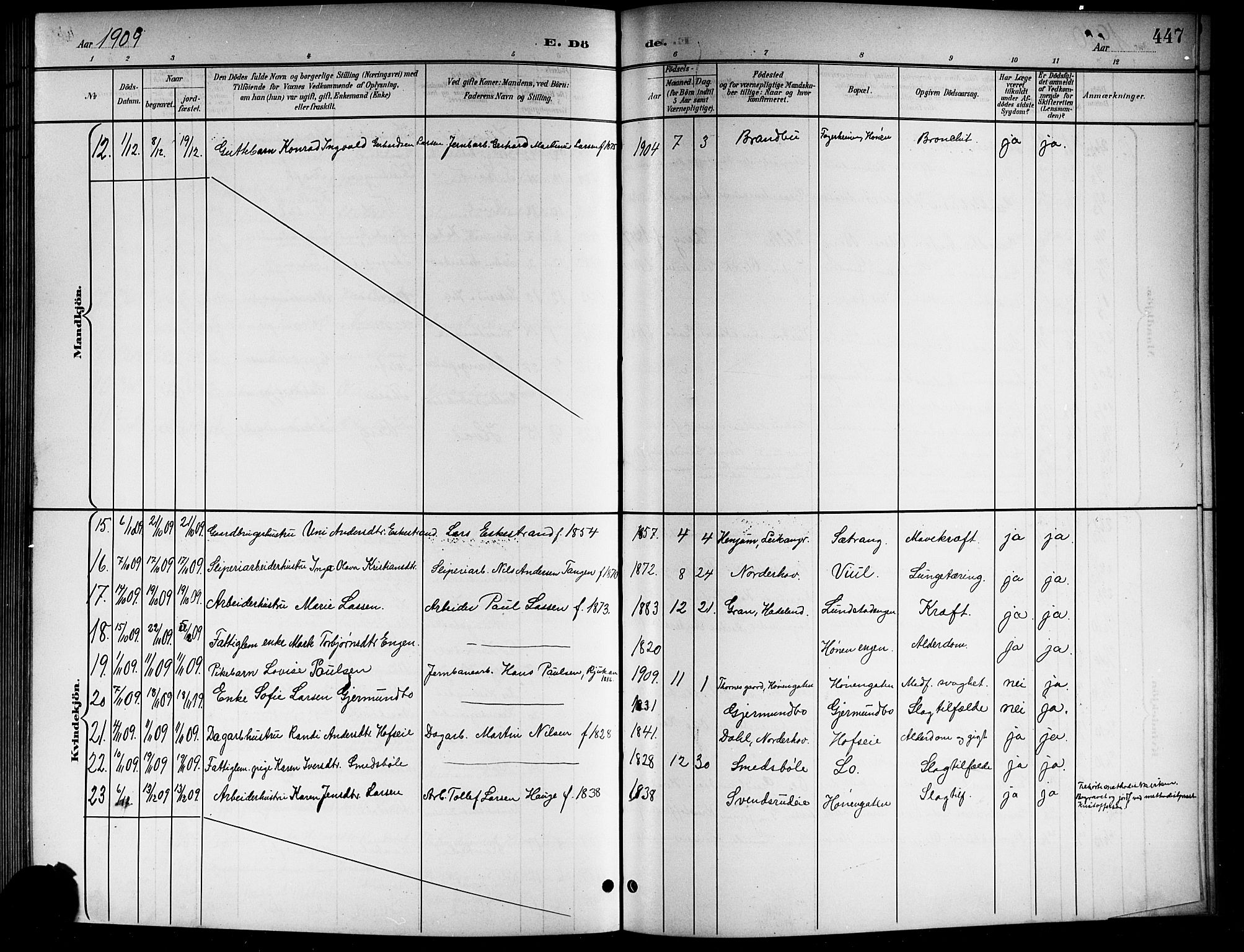 Norderhov kirkebøker, AV/SAKO-A-237/G/Gb/L0002: Parish register (copy) no. II 2, 1891-1921, p. 447