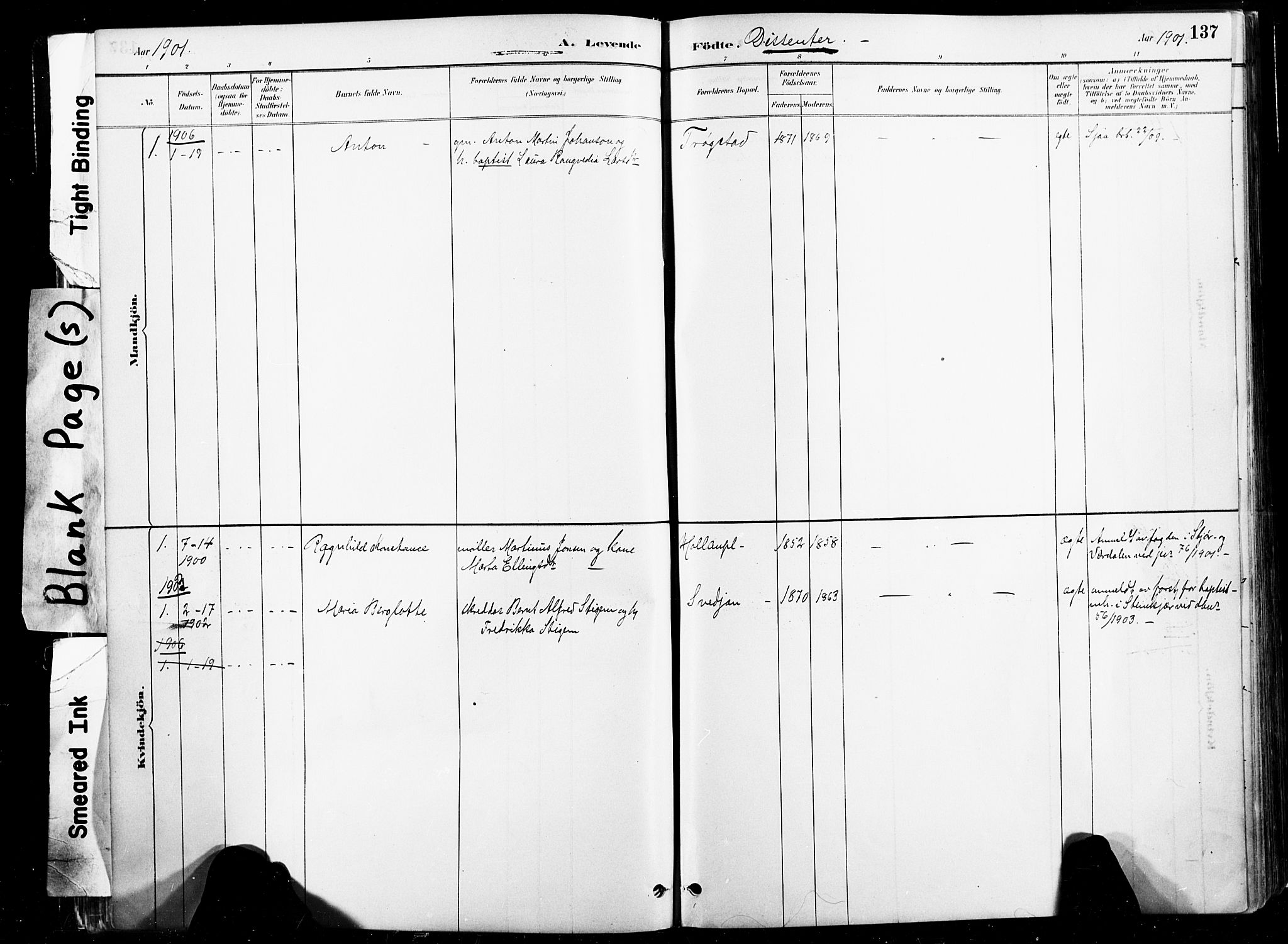 Ministerialprotokoller, klokkerbøker og fødselsregistre - Nord-Trøndelag, SAT/A-1458/735/L0351: Parish register (official) no. 735A10, 1884-1908, p. 137