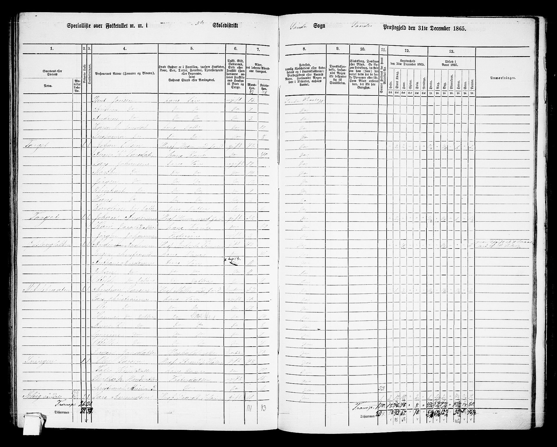 RA, 1865 census for Sande, 1865, p. 118