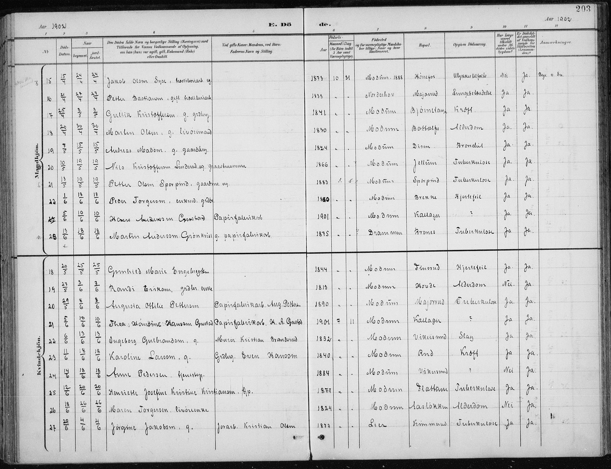 Modum kirkebøker, AV/SAKO-A-234/F/Fa/L0013: Parish register (official) no. 13, 1899-1907, p. 203