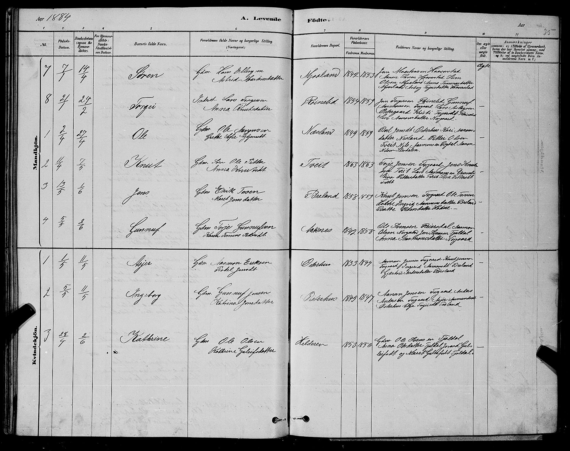 Åseral sokneprestkontor, AV/SAK-1111-0051/F/Fb/L0002: Parish register (copy) no. B 2, 1878-1899, p. 35